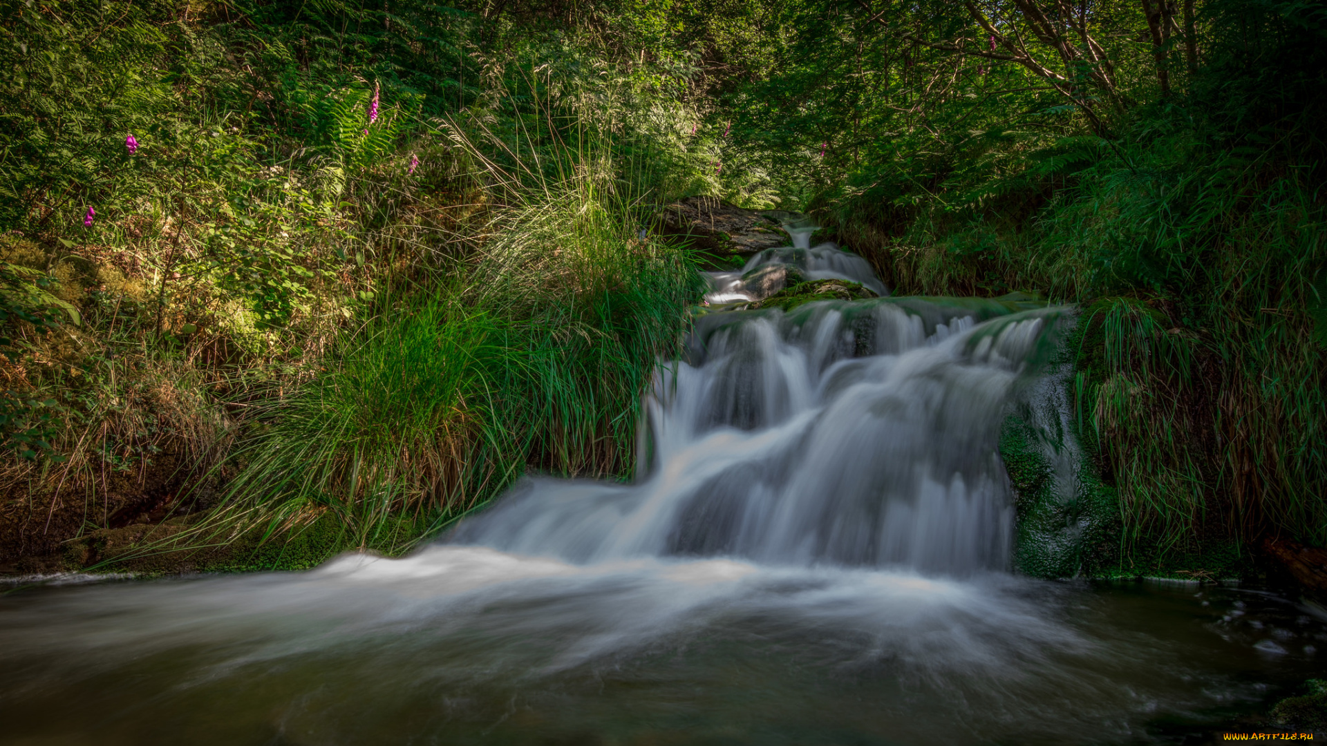 природа, водопады, лес, река, водопад