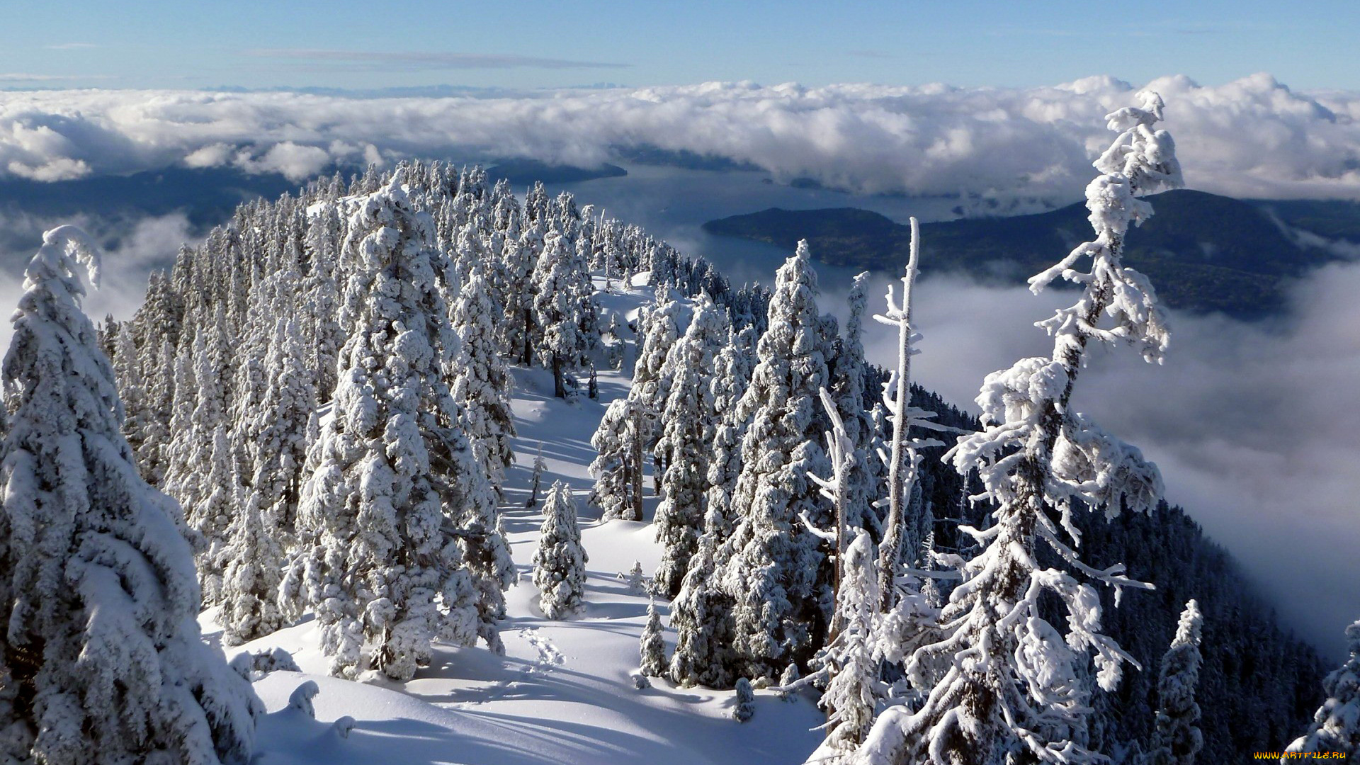природа, зима, елки, облака, горы, сугробы, снег