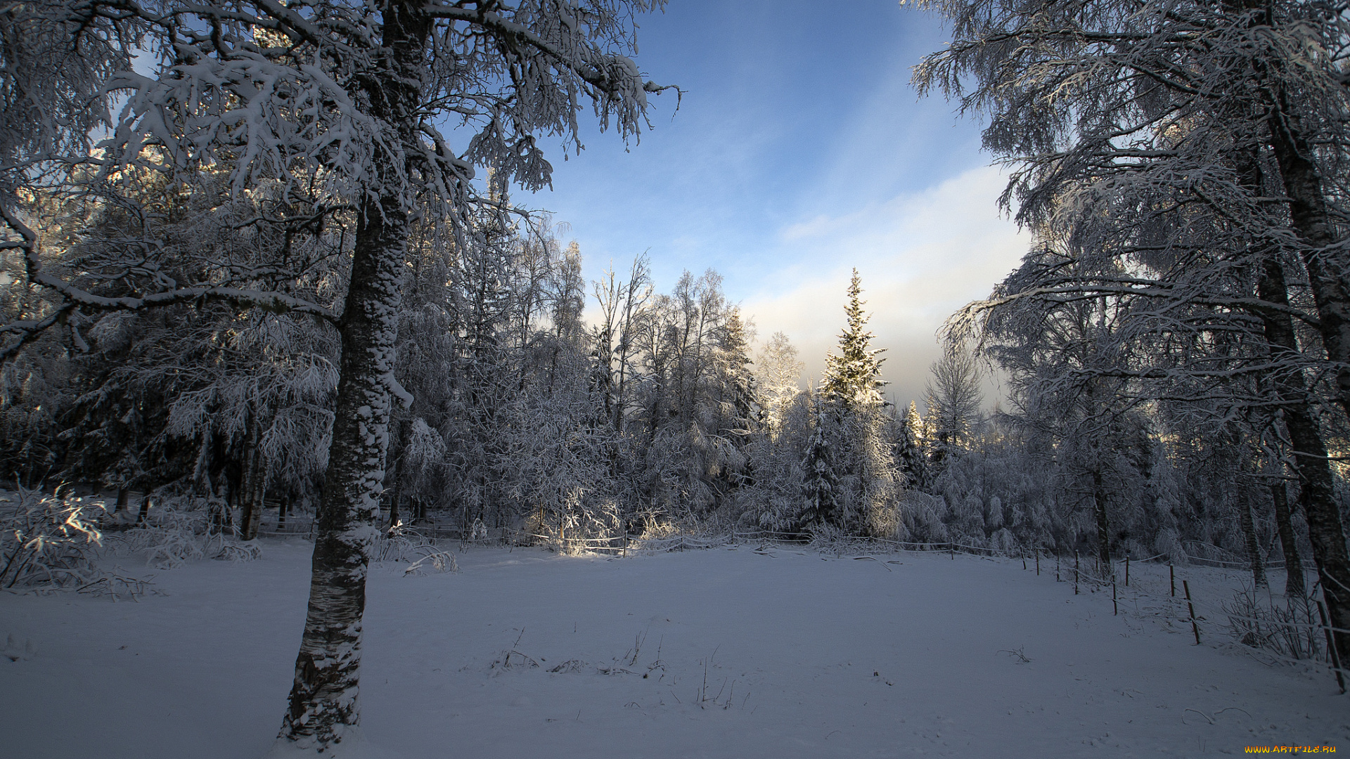 природа, зима, снег