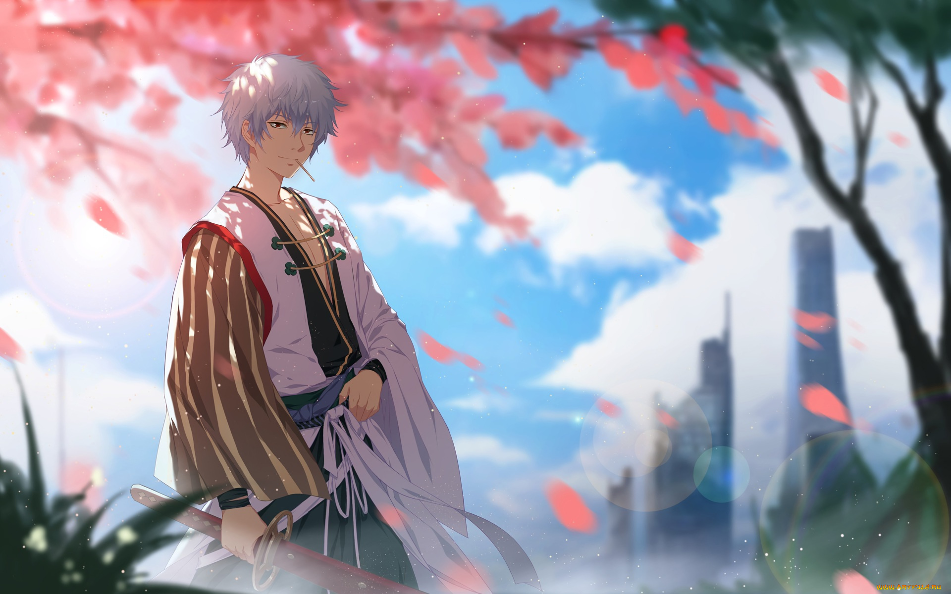 аниме, gintama, sakata, gintoki
