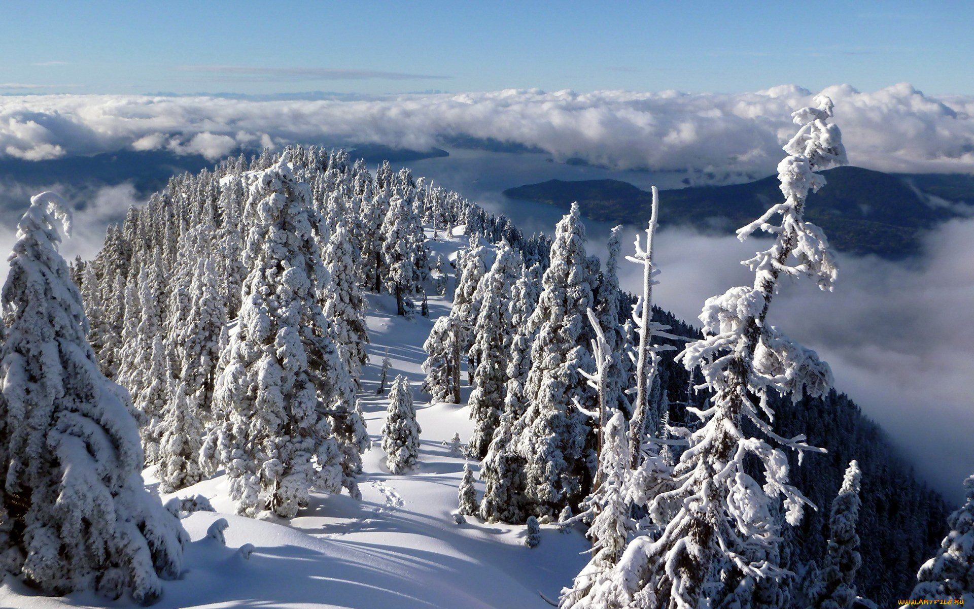 природа, зима, елки, облака, горы, сугробы, снег