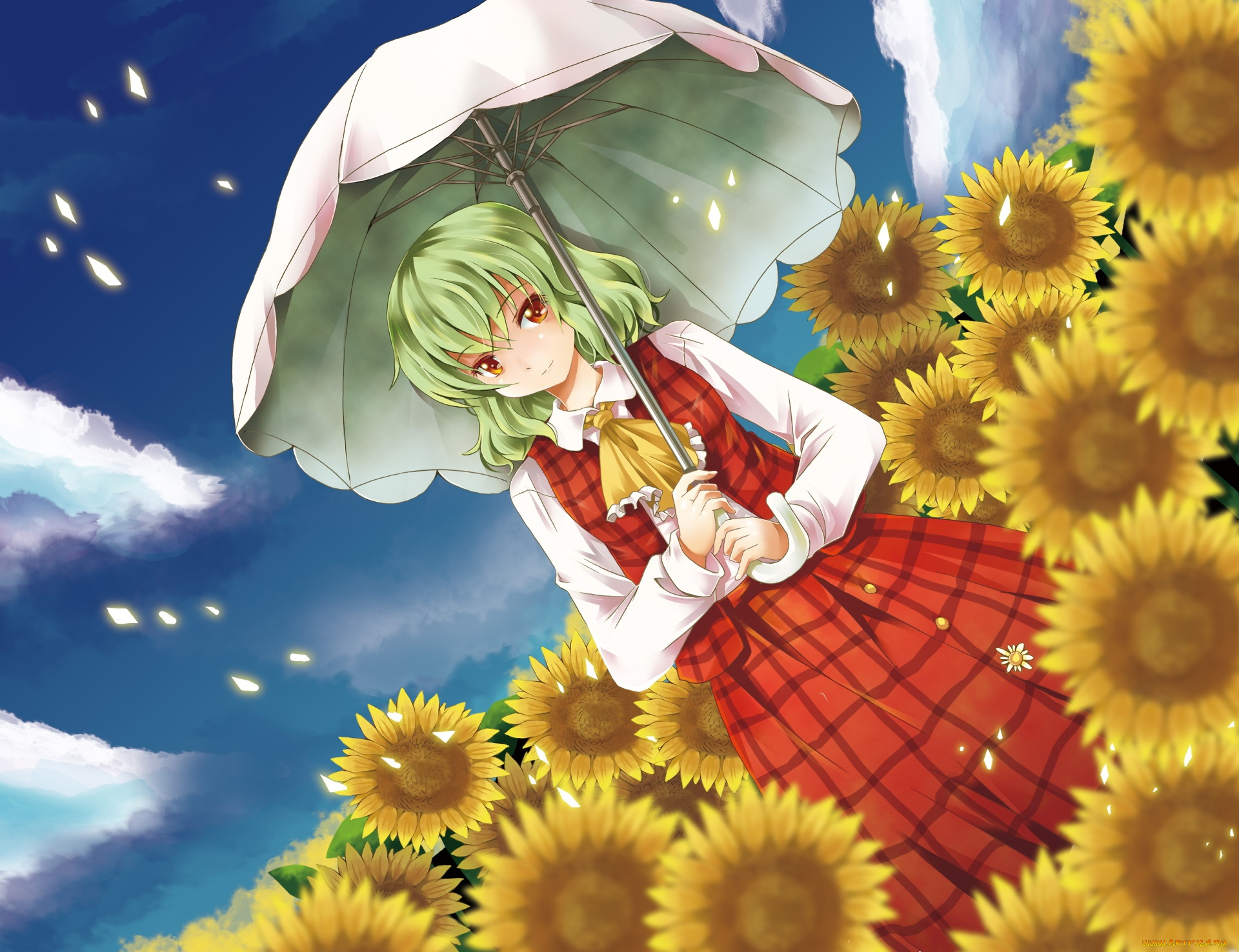 аниме, touhou, взгляд, девушка, фон