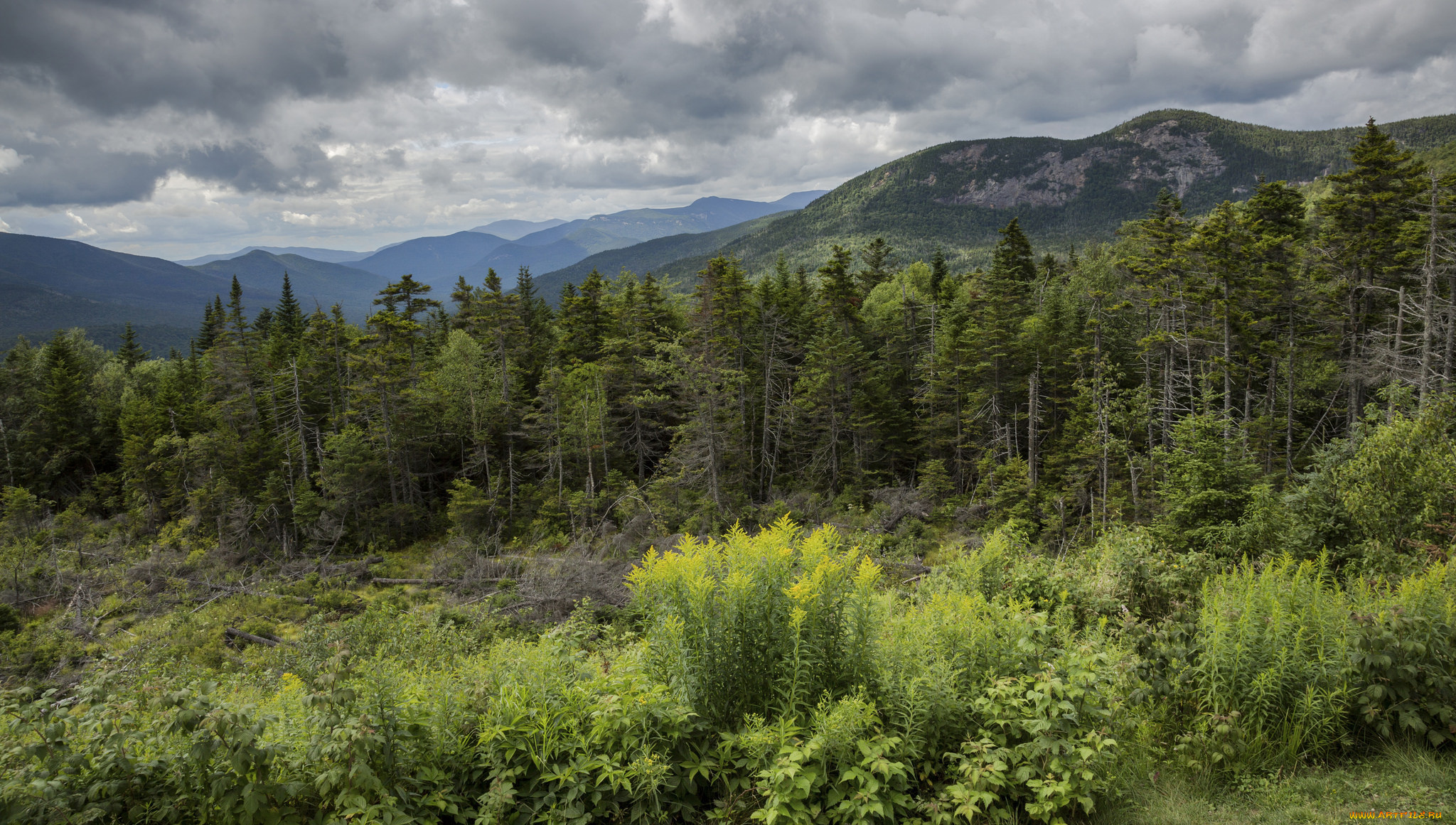 природа, пейзажи, простор
