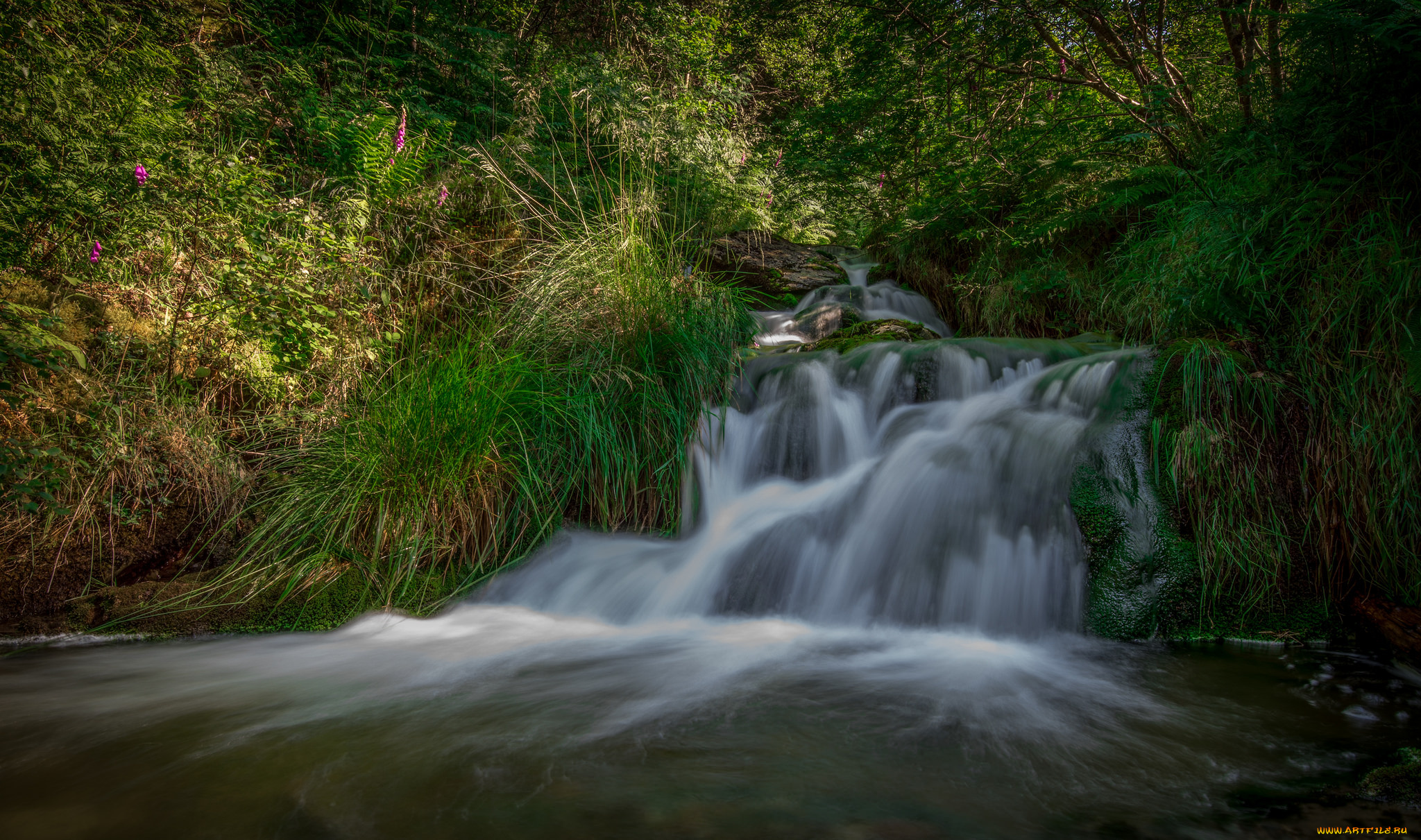 природа, водопады, лес, река, водопад