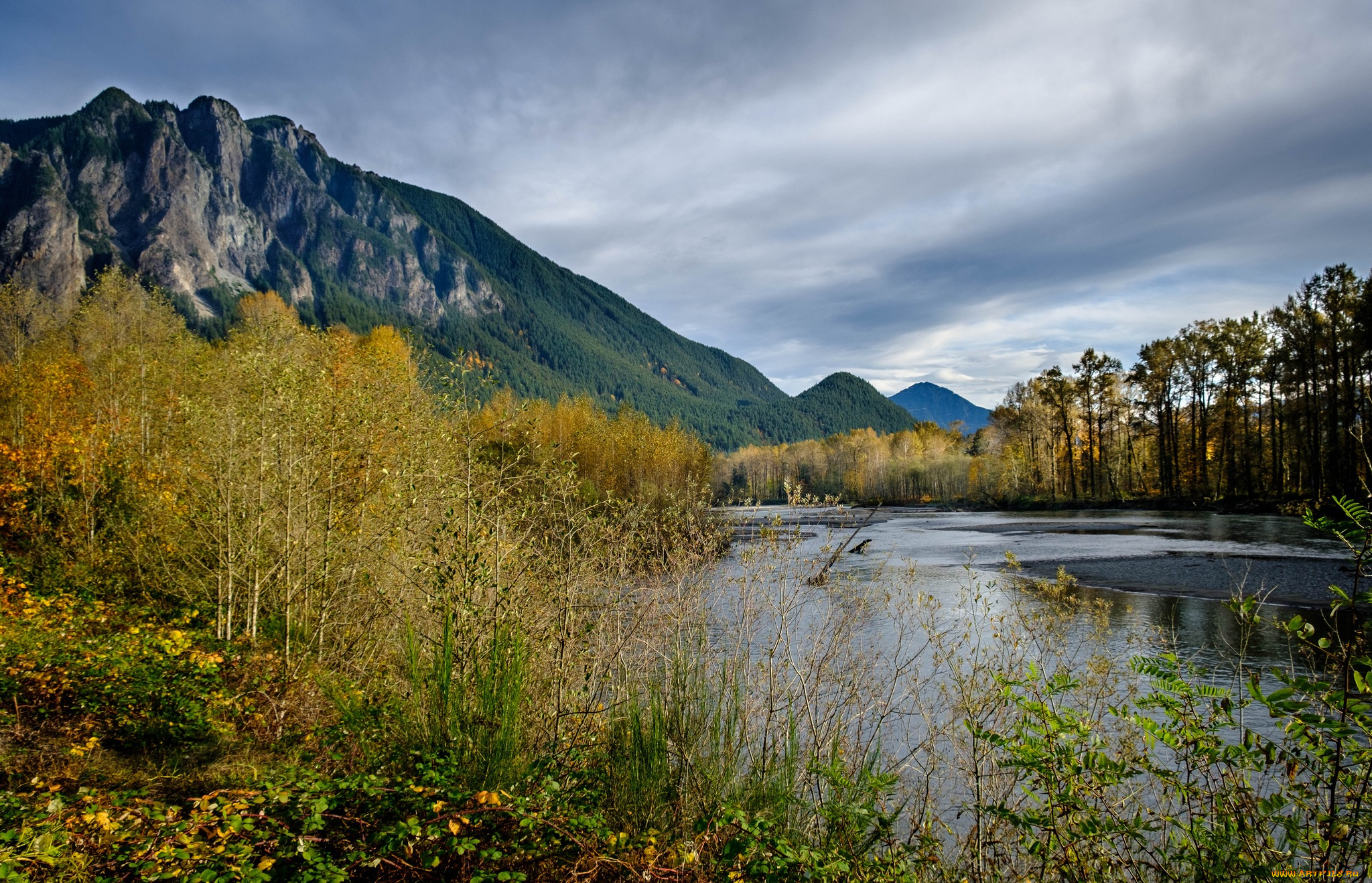 природа, реки, озера, река, лес