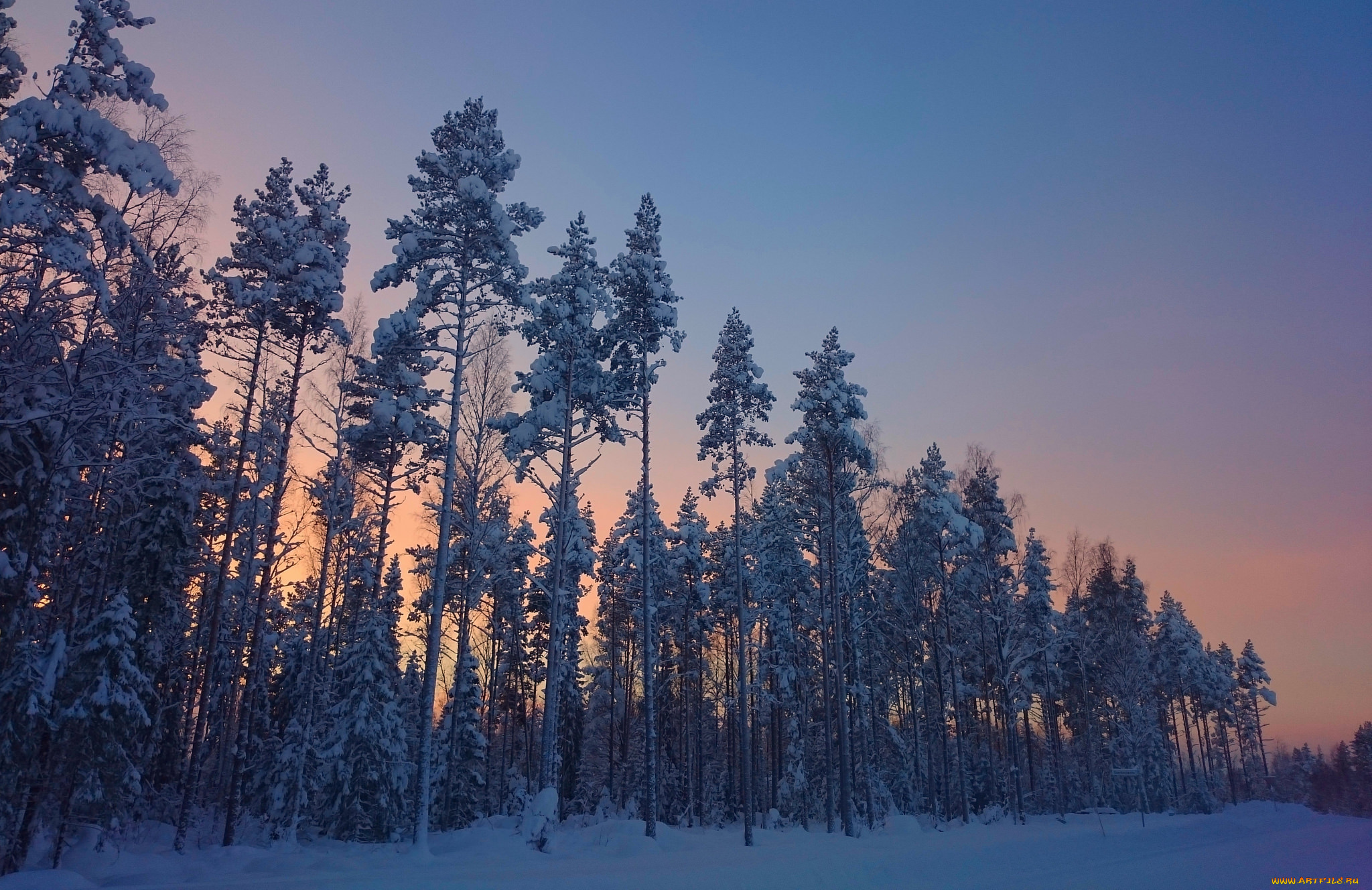 природа, зима, снег