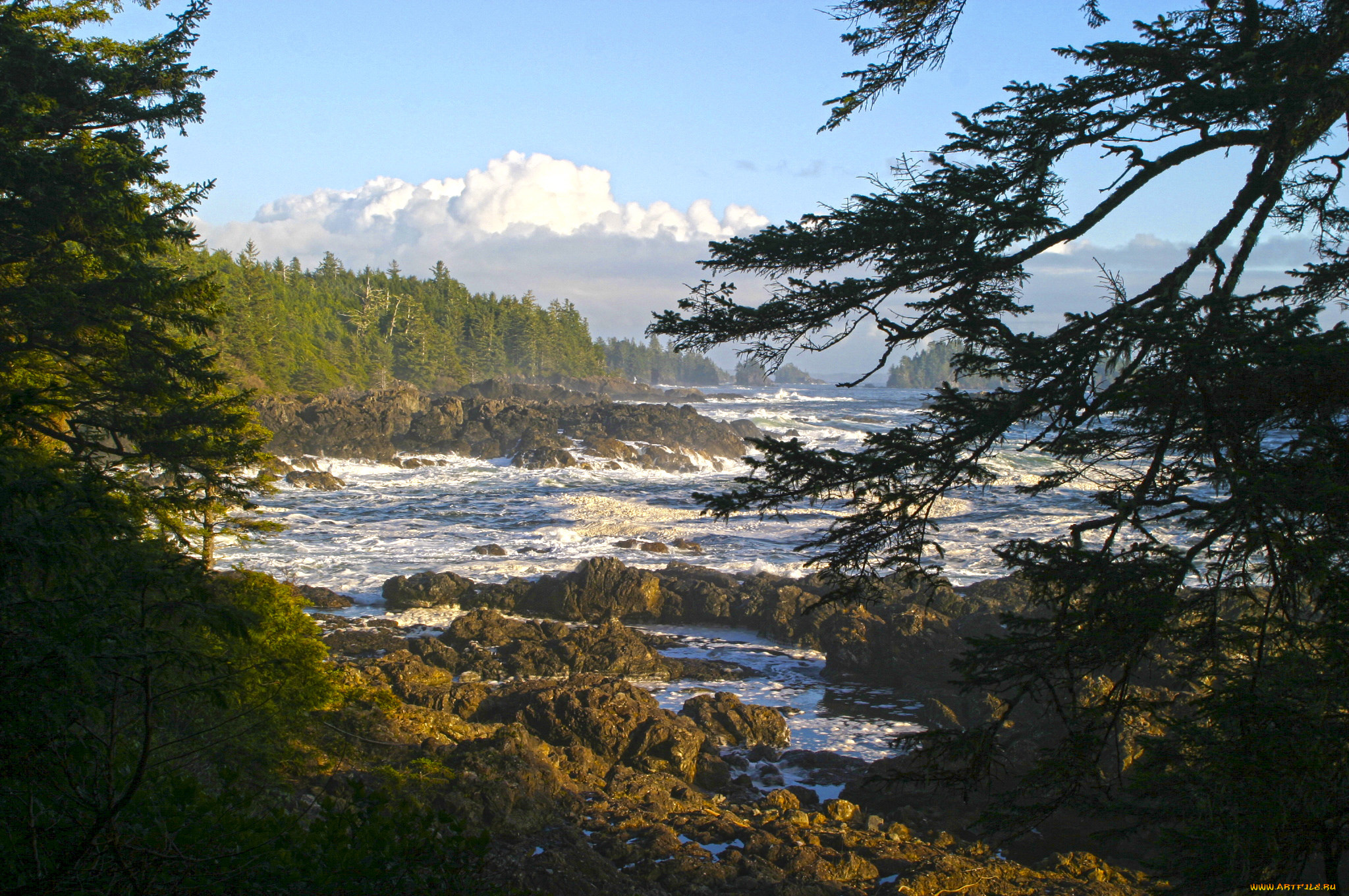 природа, побережье, море, берег