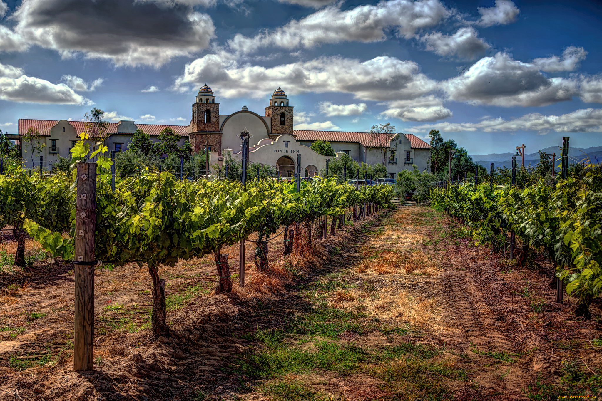 города, -, пейзажи, виноградник, поместье