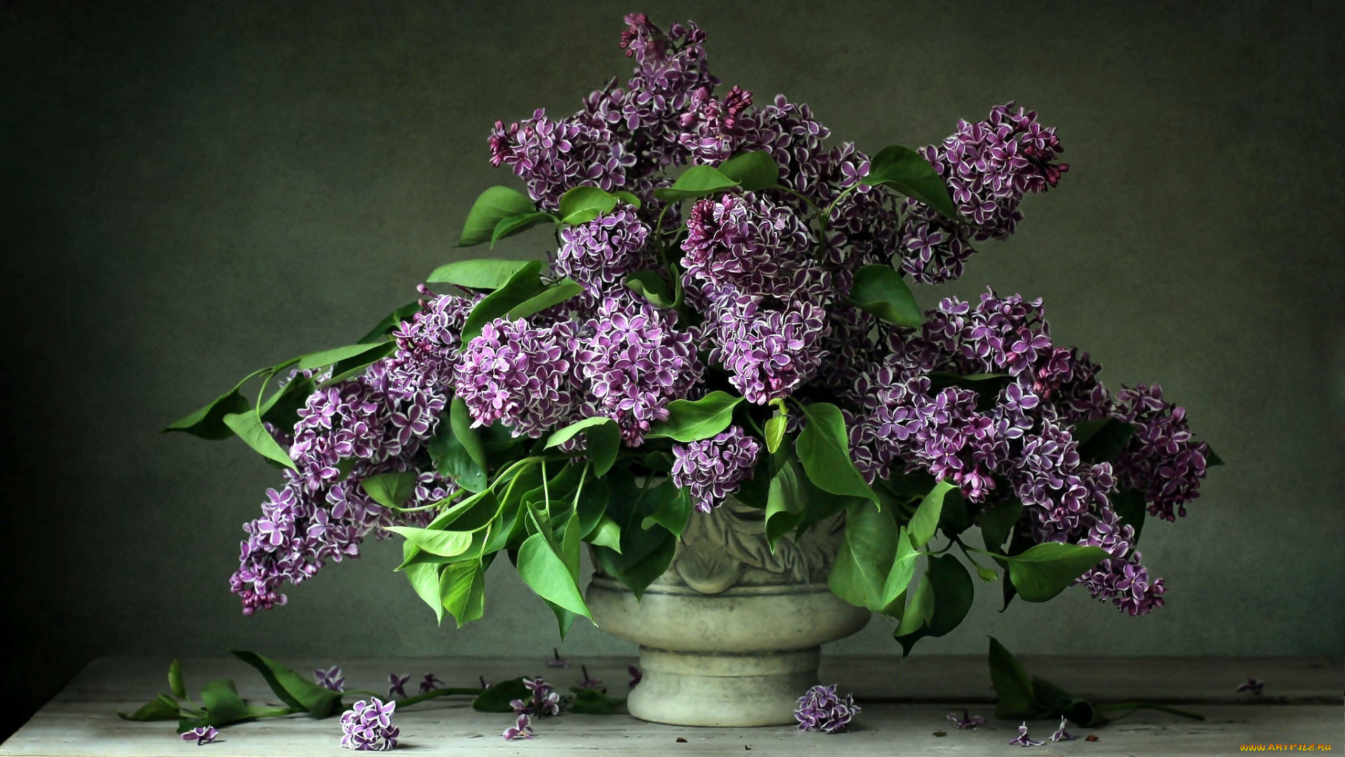 цветы, сирень, букет
