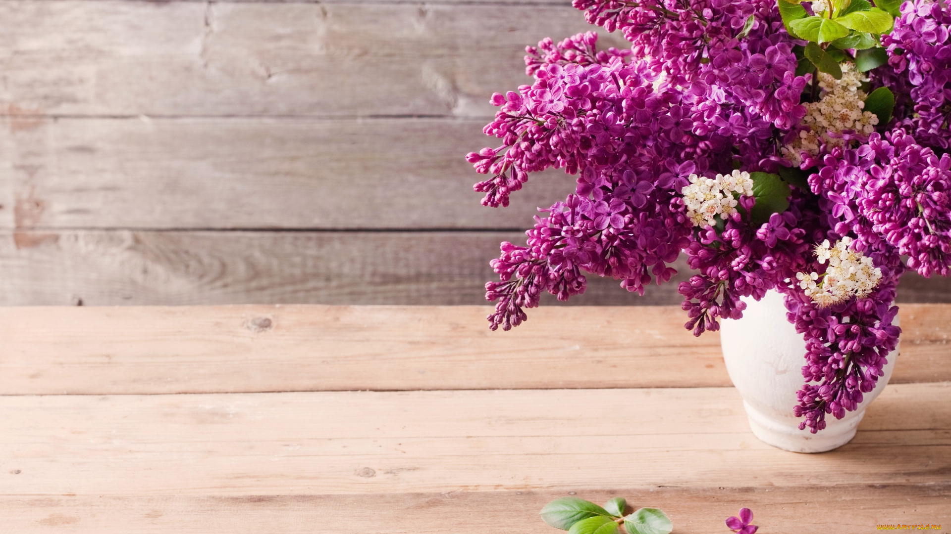 цветы, сирень, букет