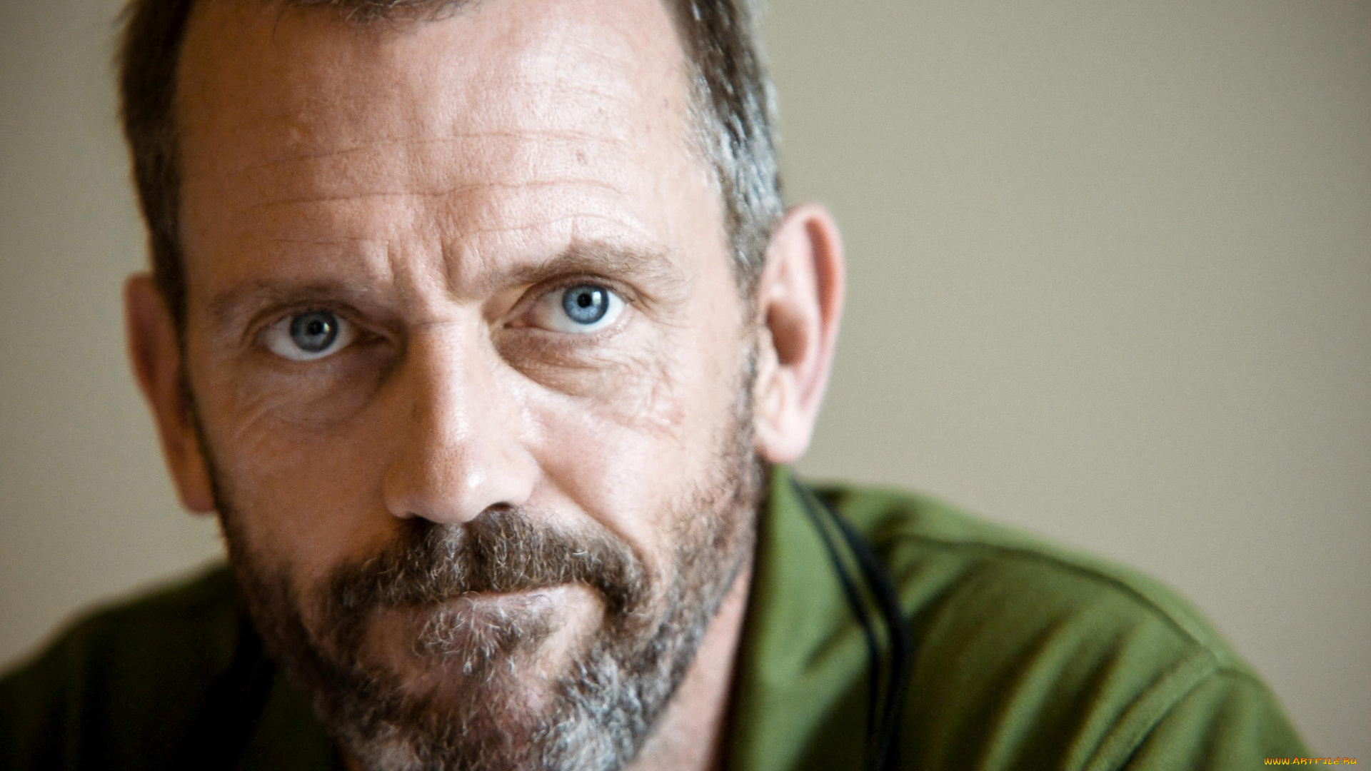 мужчины, hugh, laurie, лицо, актер, борода