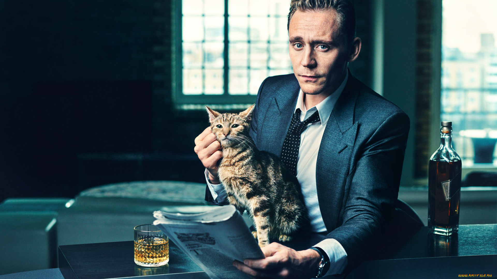 мужчины, tom, hiddleston, газета, кот