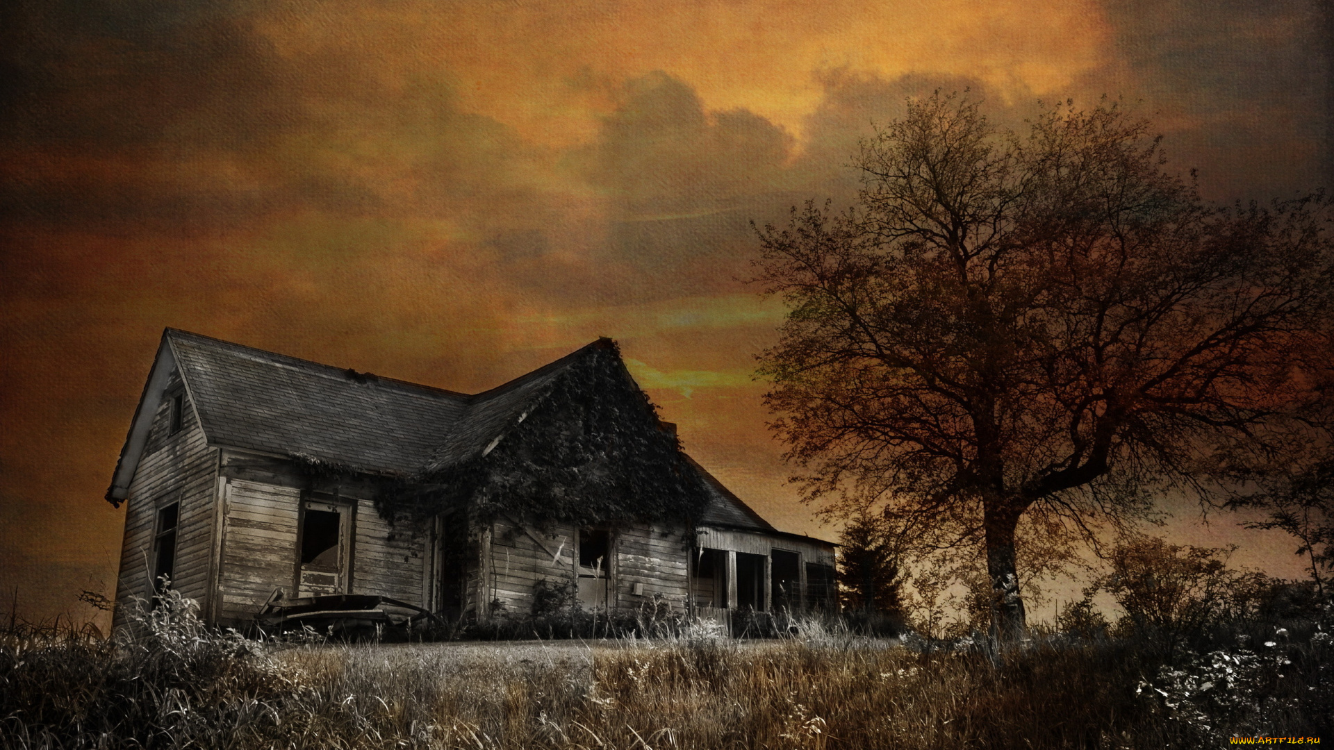 разное, развалины, , руины, , металлолом, трава, деревья, дом