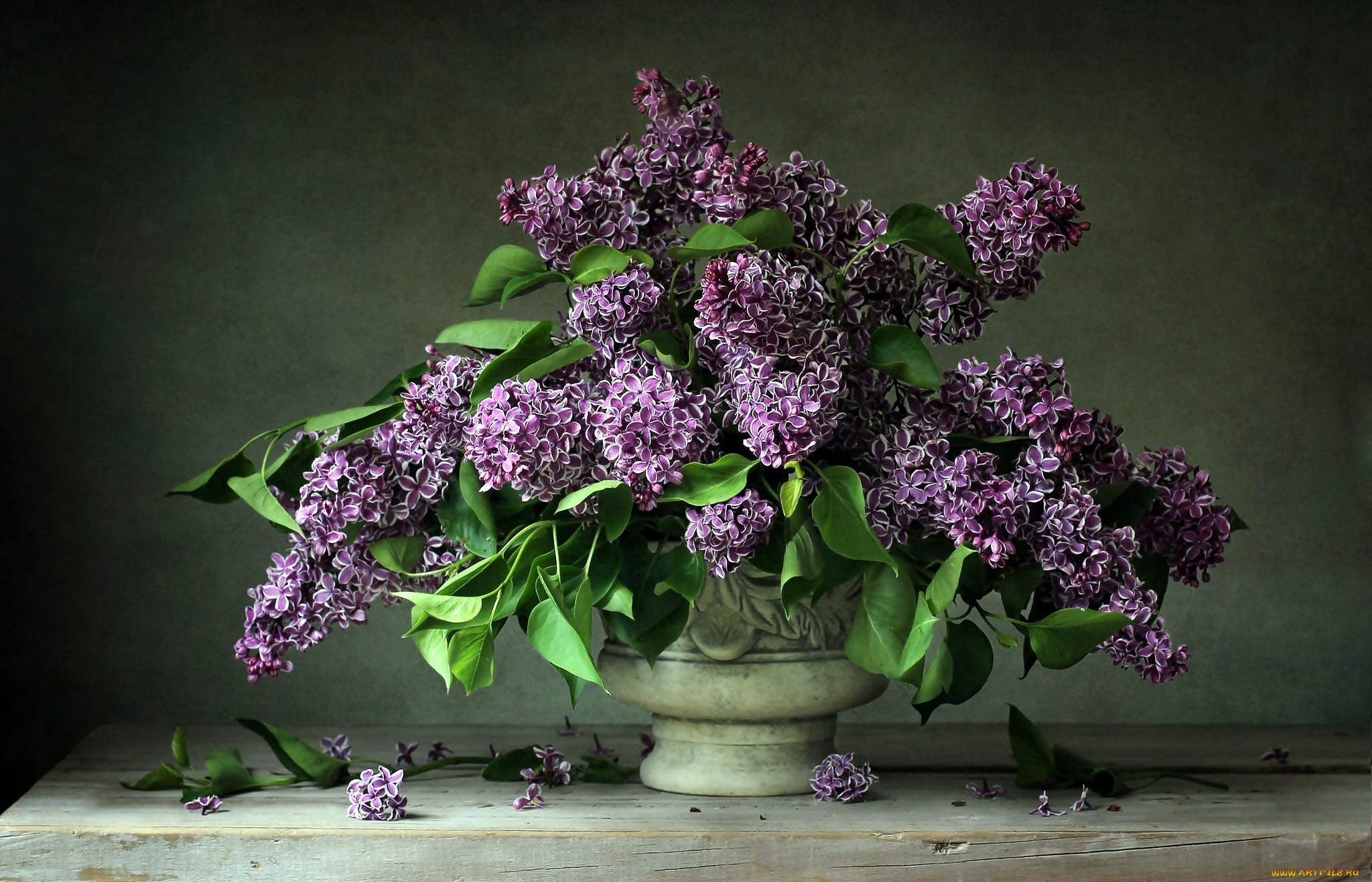 цветы, сирень, букет