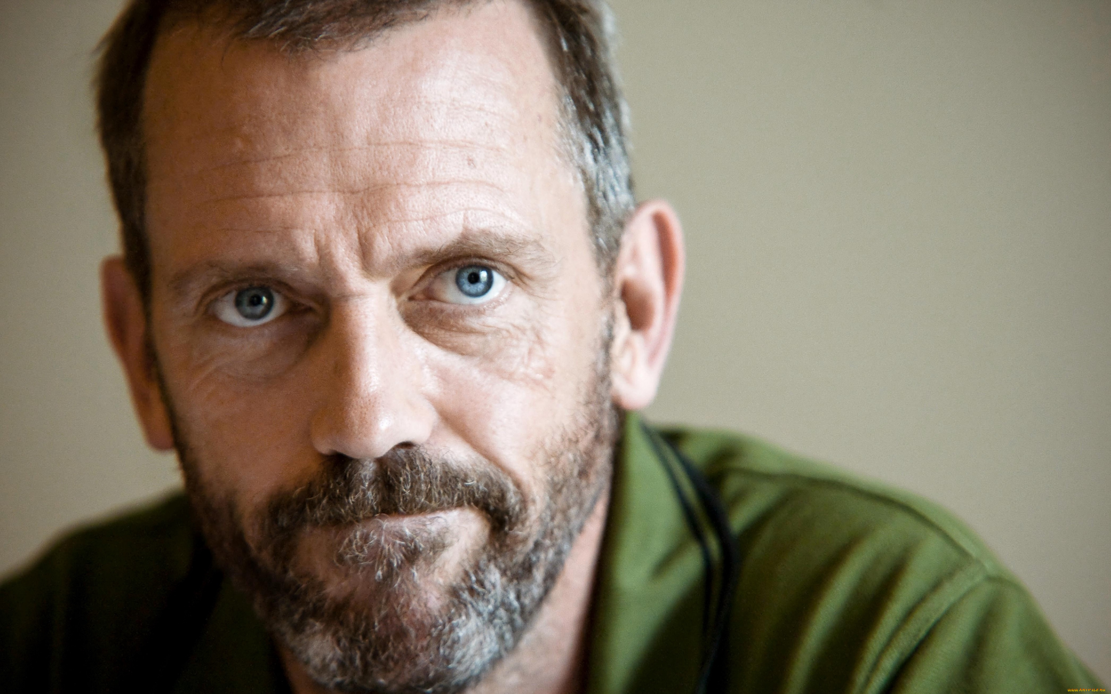 мужчины, hugh, laurie, лицо, актер, борода