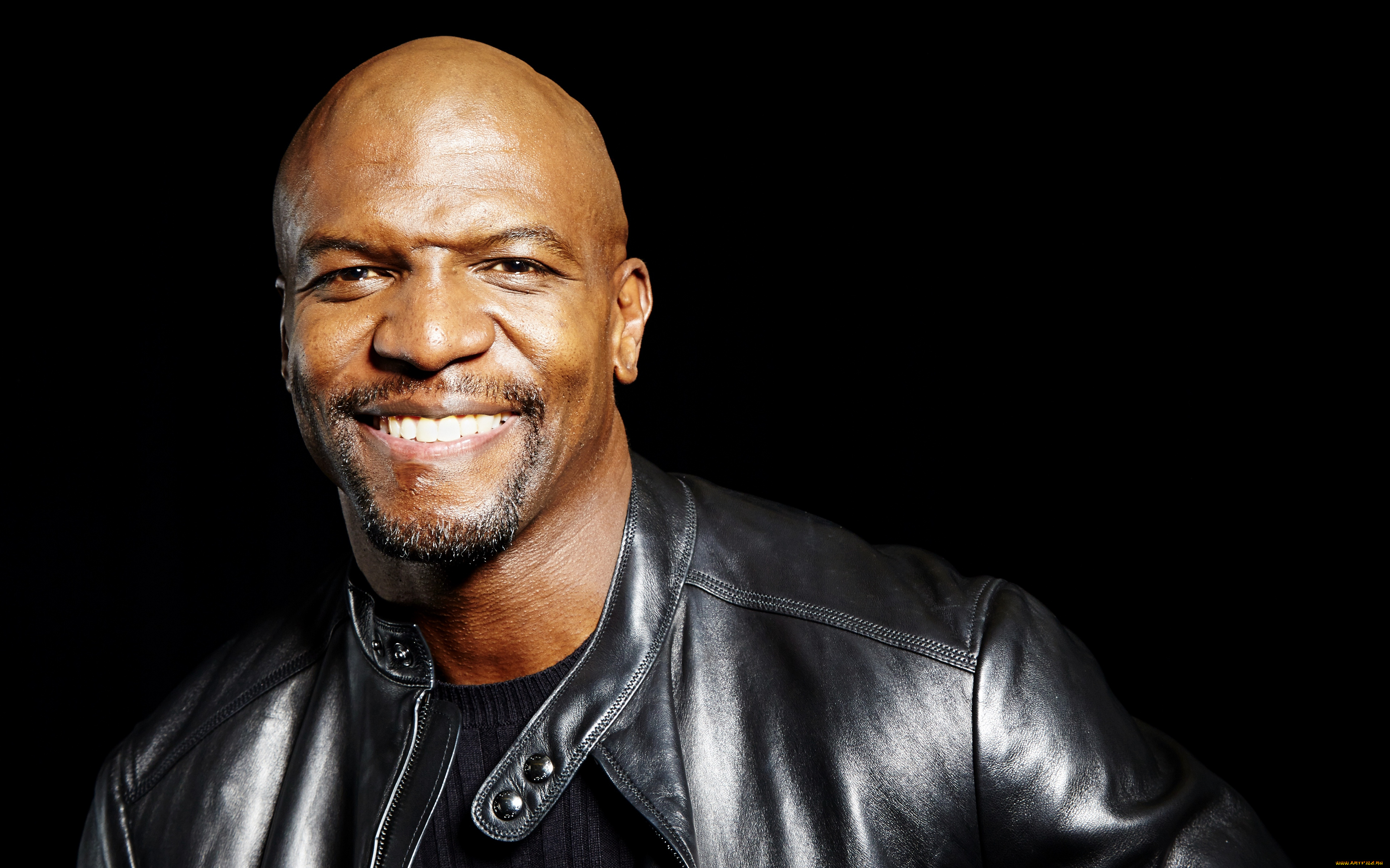 мужчины, terry, crews, улыбка, лицо, актер, terry, crews, негр, куртка