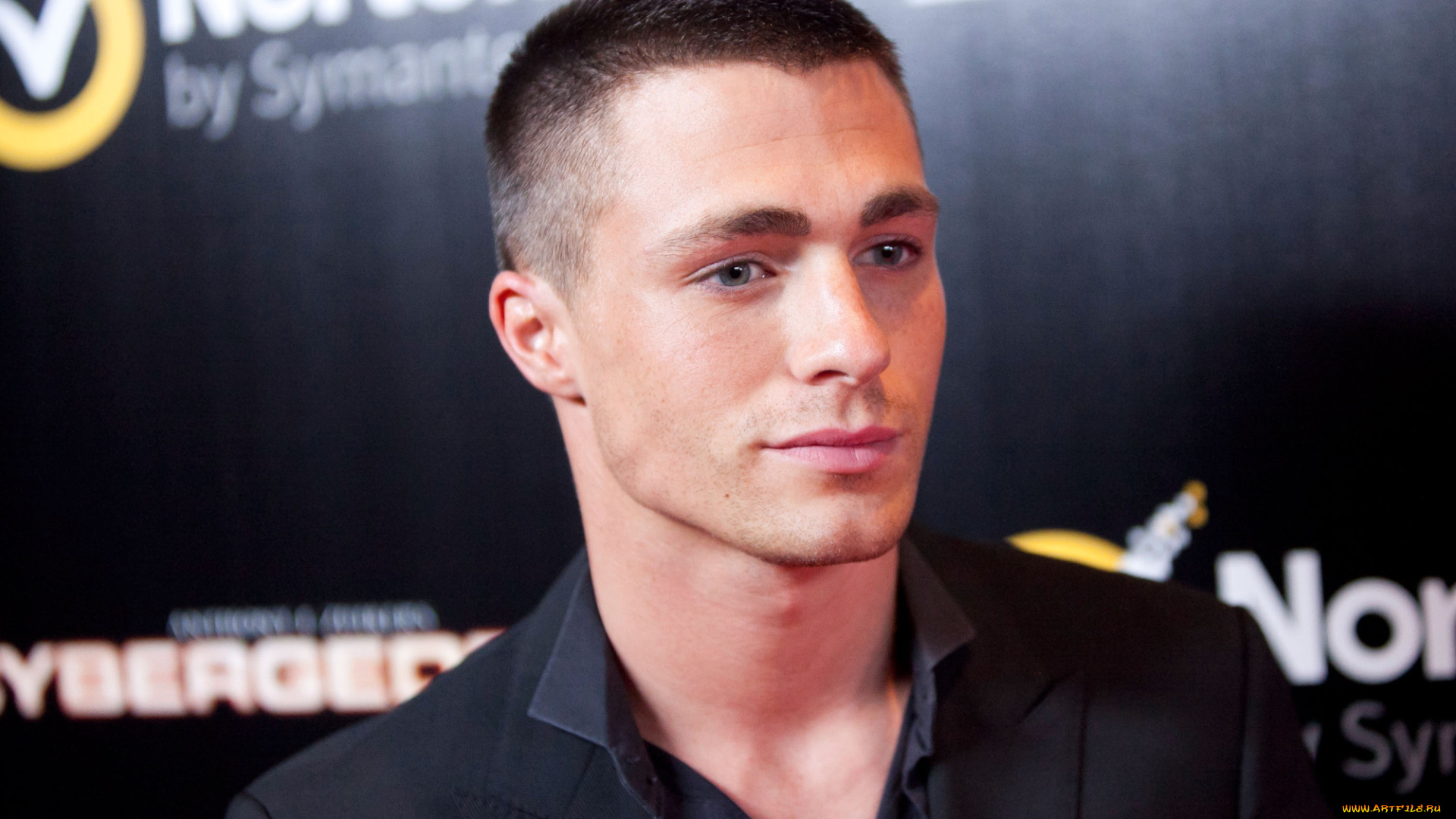 мужчины, colton, haynes, colton, haynes