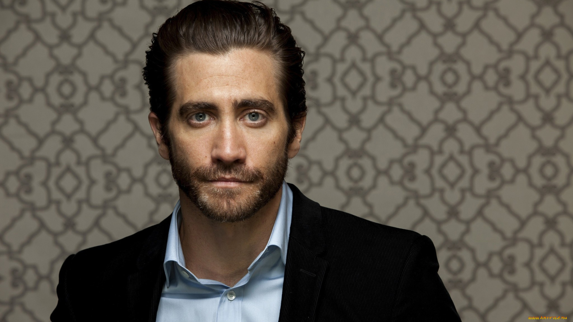 мужчины, jake, gyllenhaal, jake, gyllenhaal