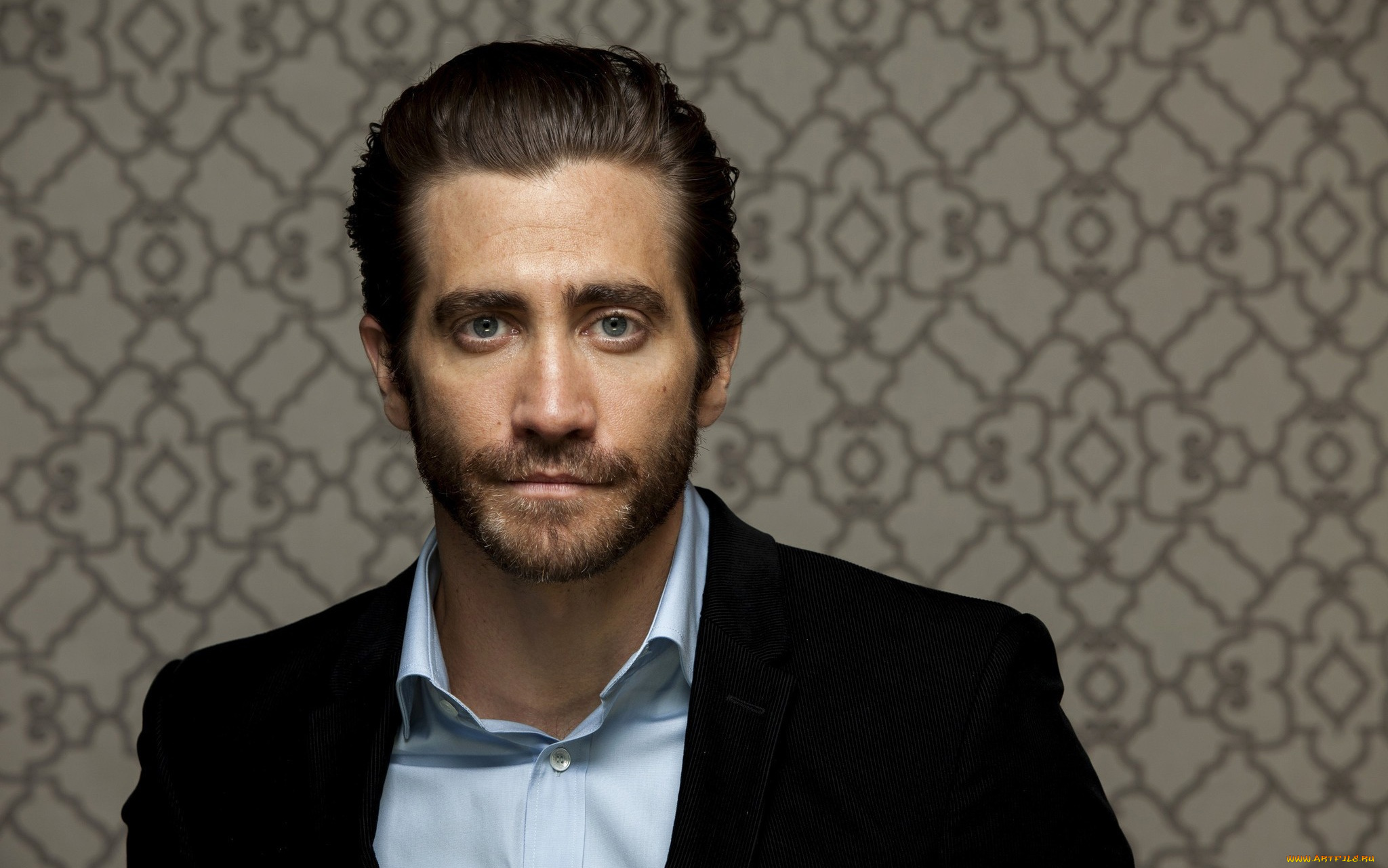 мужчины, jake, gyllenhaal, jake, gyllenhaal