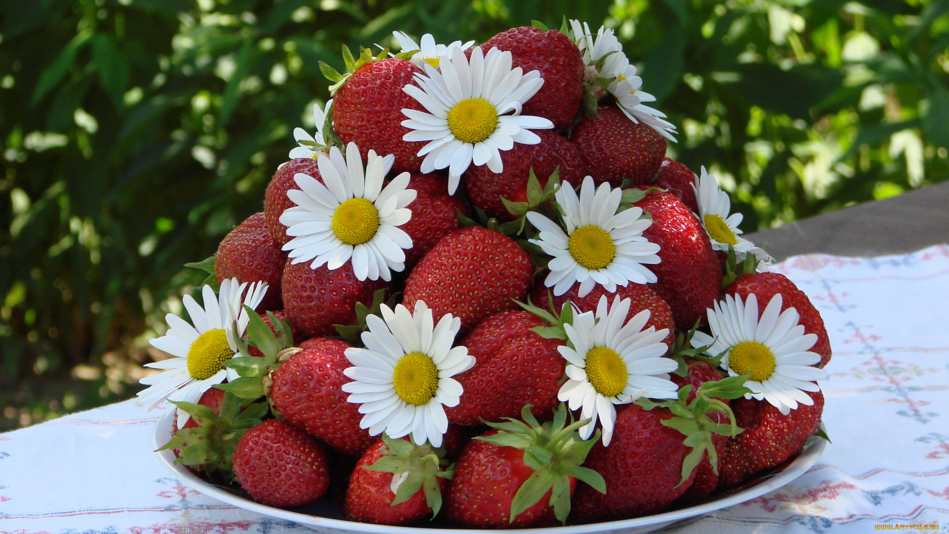 еда, клубника, , земляника, ягоды, спелая, крупная, цветы, ромашки