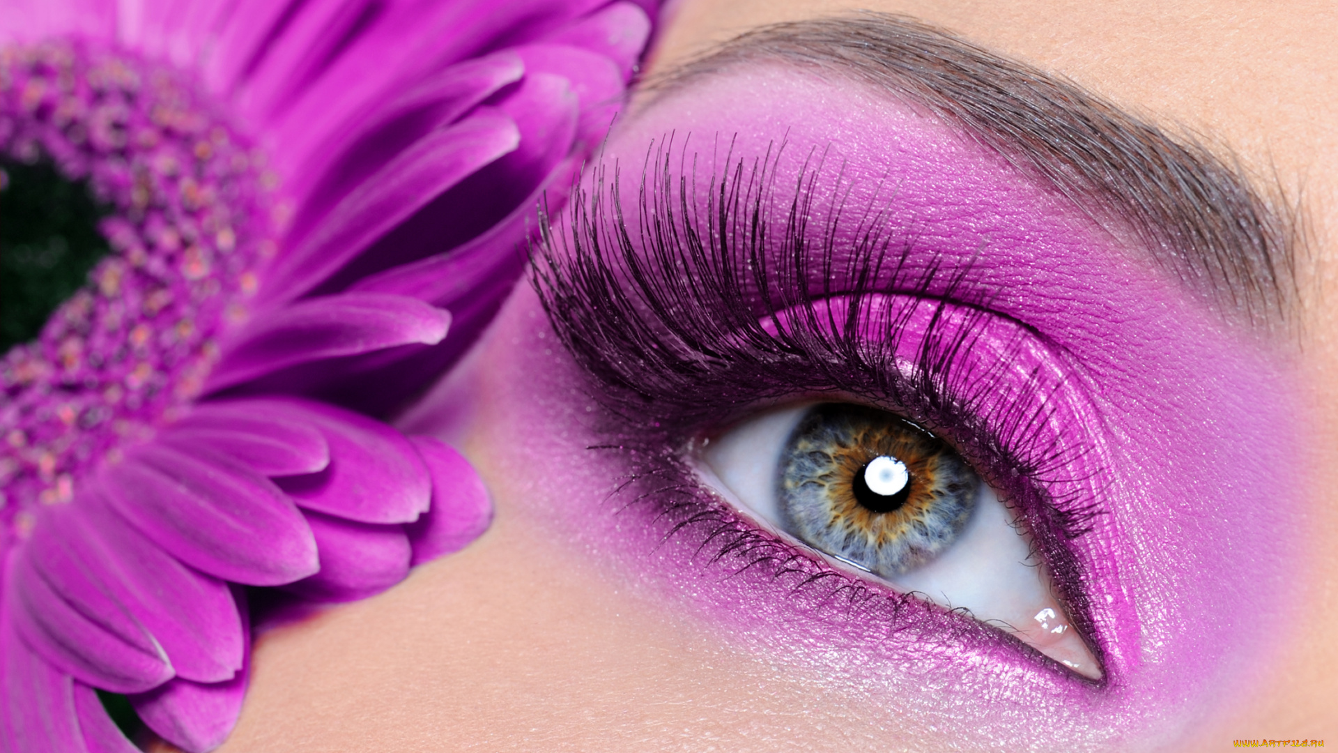 разное, глаза, гербера, лицо, глаз, девушка, макияж