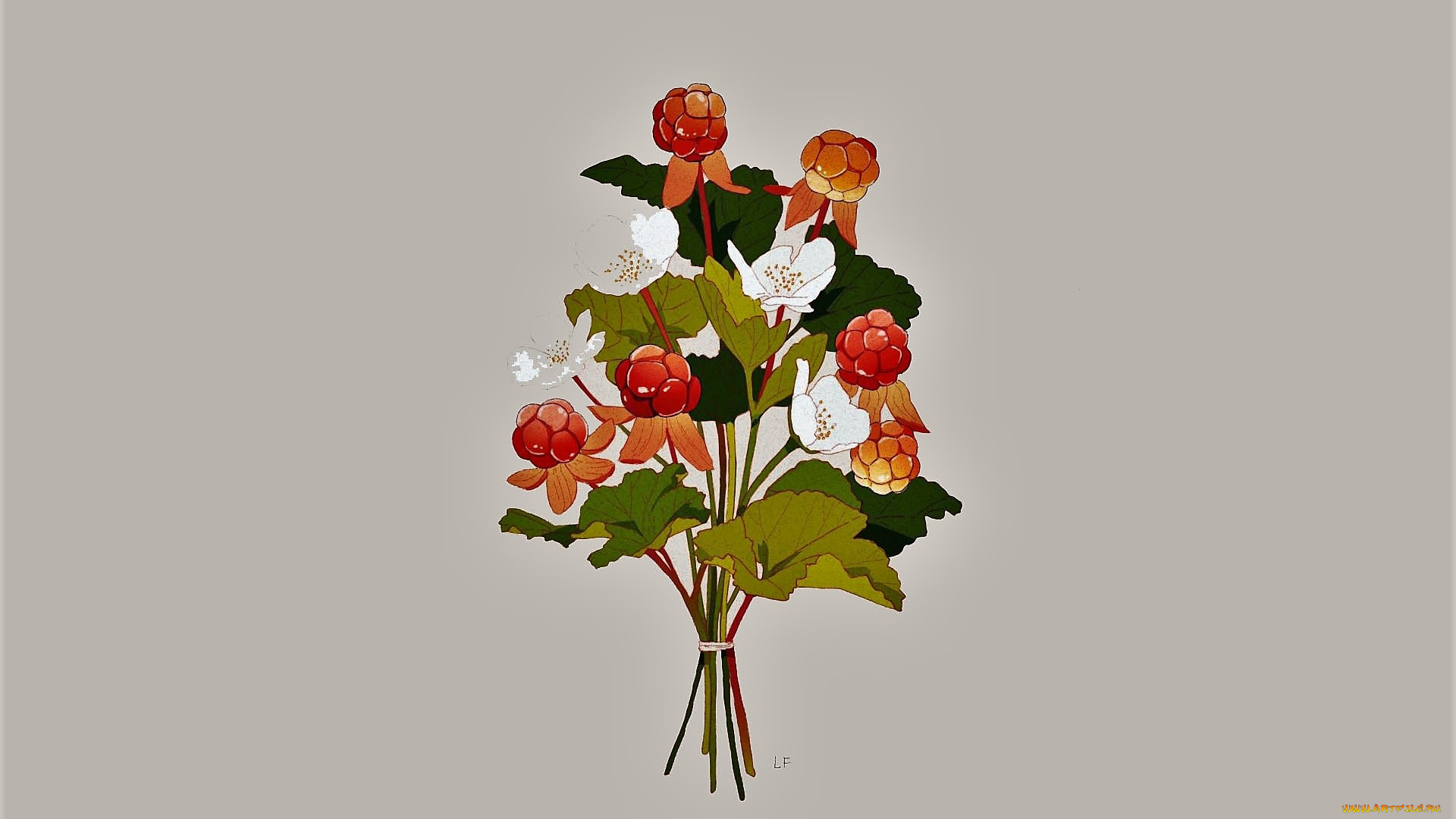 рисованное, еда, букет, ягоды, цветы, листья
