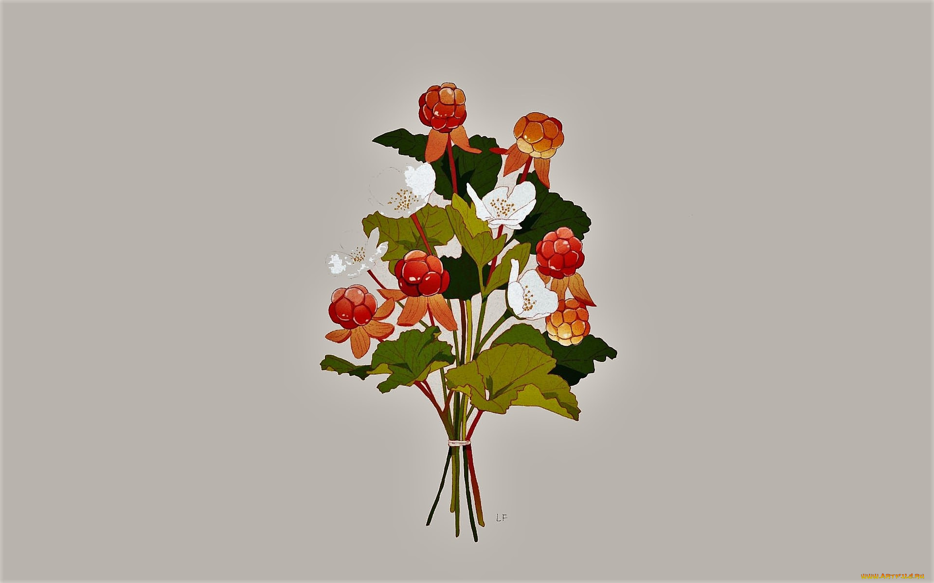 рисованное, еда, букет, ягоды, цветы, листья