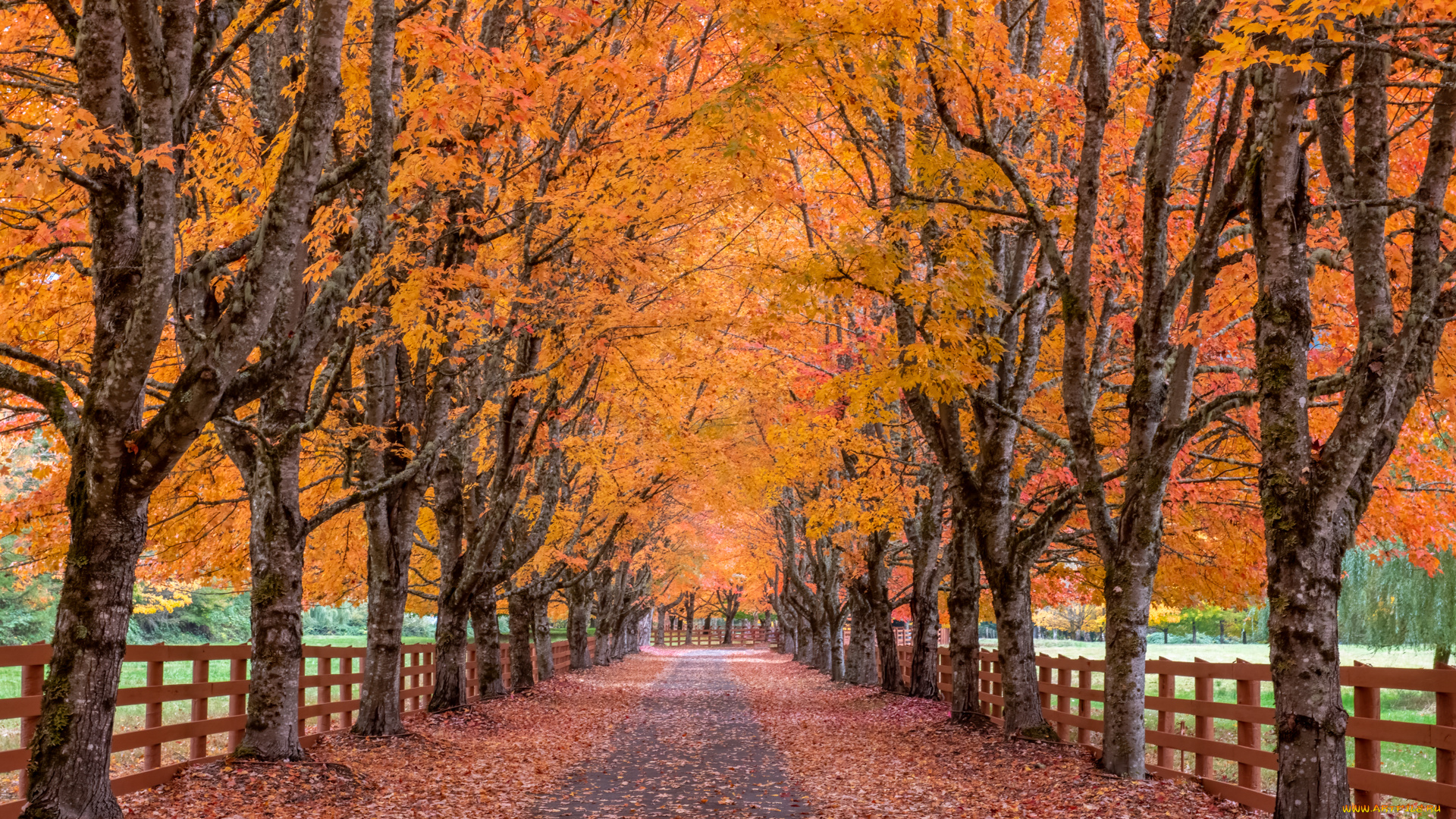 природа, дороги, пейзаж