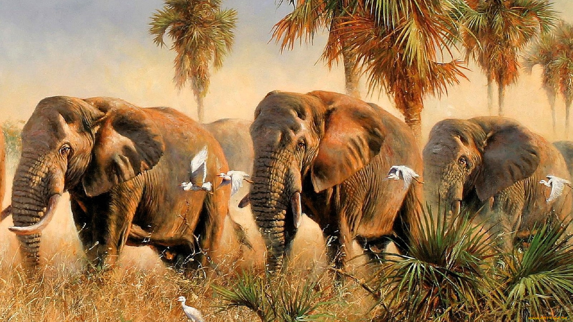 рисованное, eric, forlee, слоны, цапли, пальмы, трава, саванна
