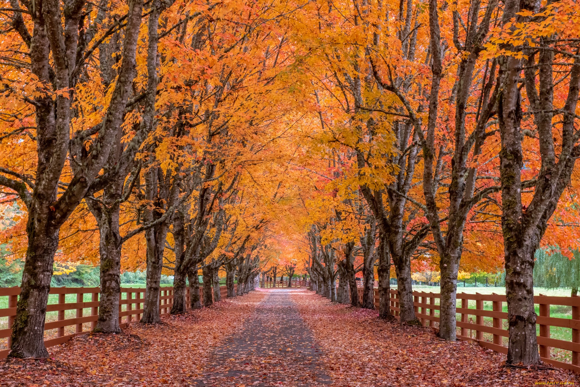 природа, дороги, пейзаж