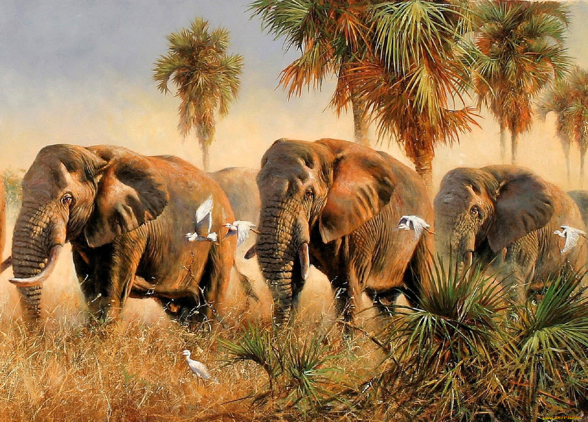 рисованное, eric, forlee, слоны, цапли, пальмы, трава, саванна