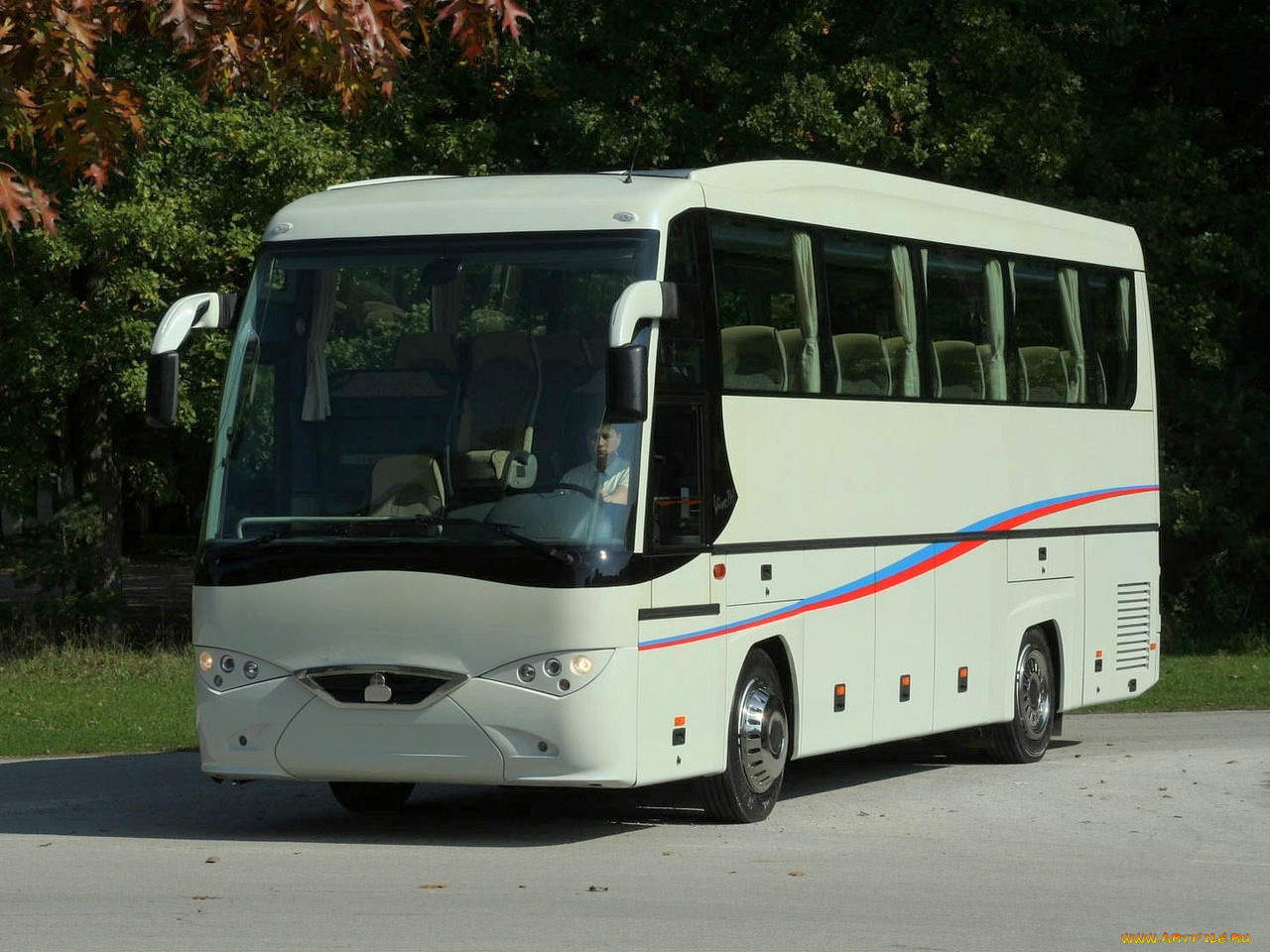 автомобили, автобусы