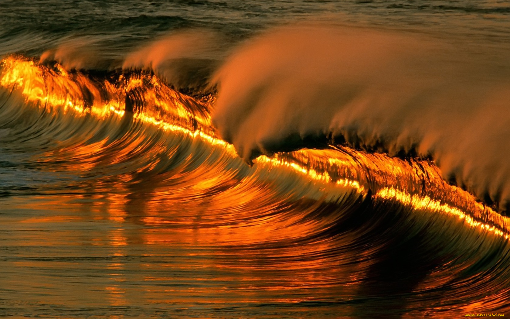 природа, моря, океаны