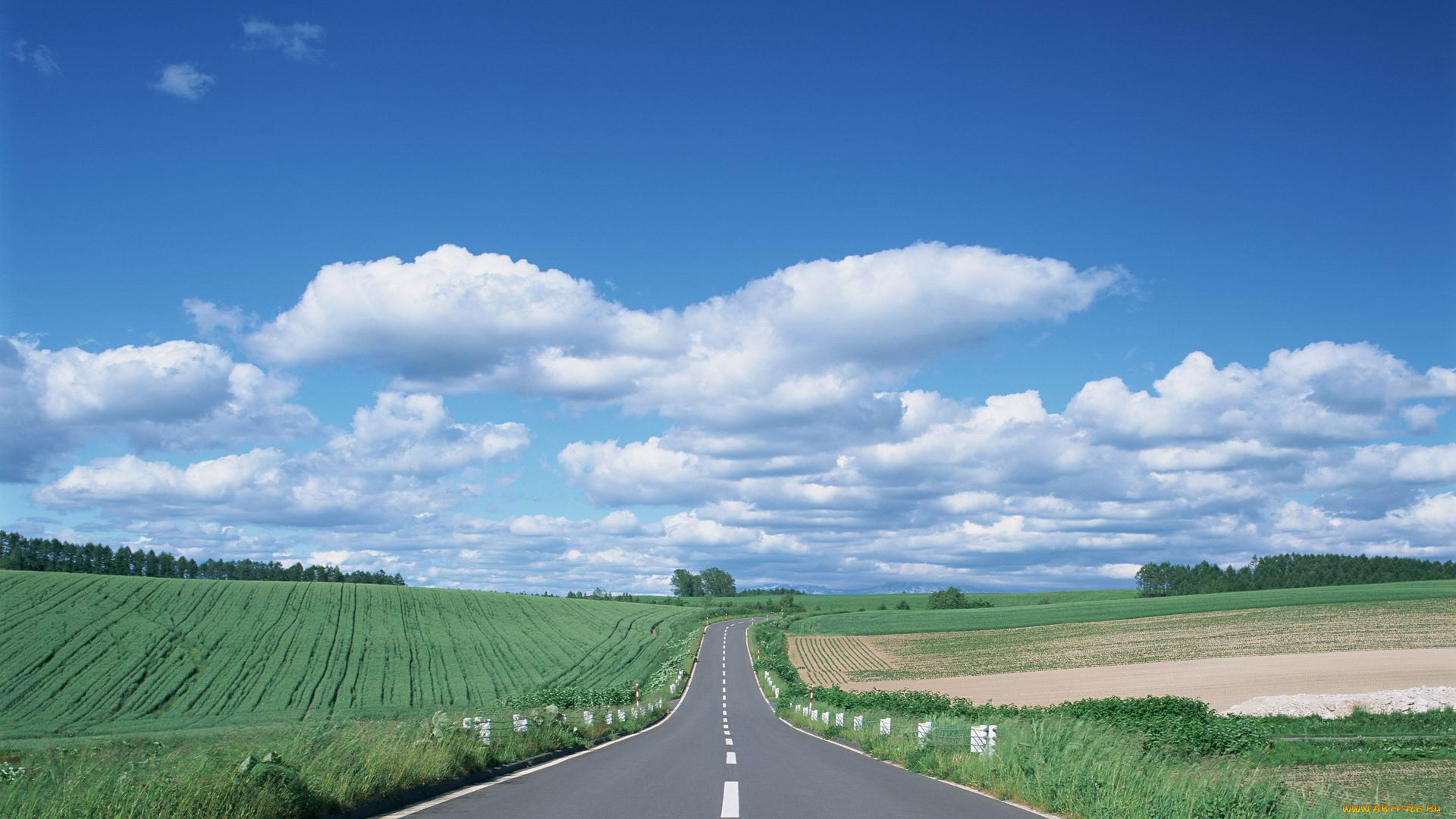 природа, дороги