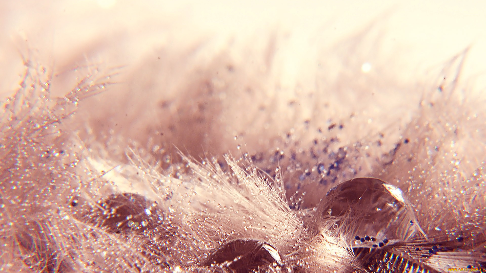 разное, капли, брызги, всплески