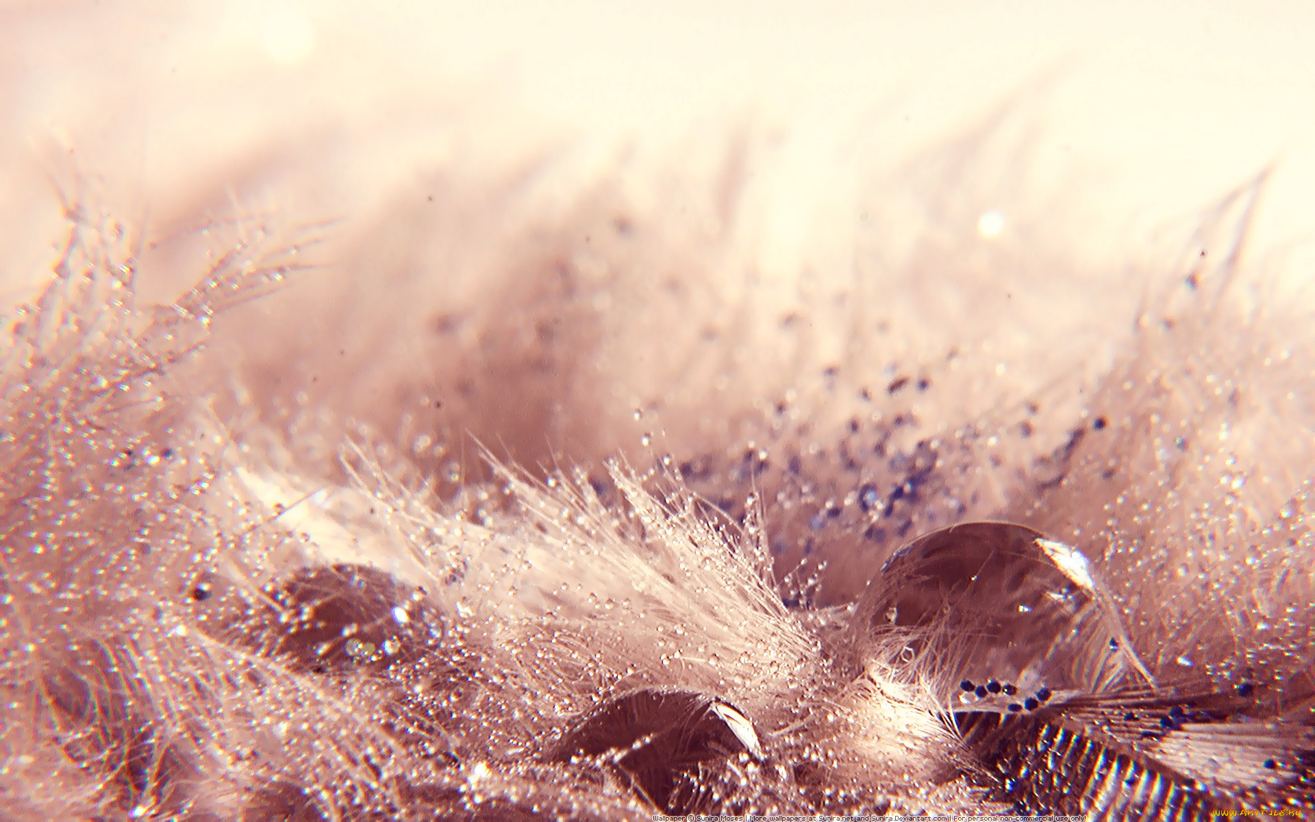 разное, капли, брызги, всплески