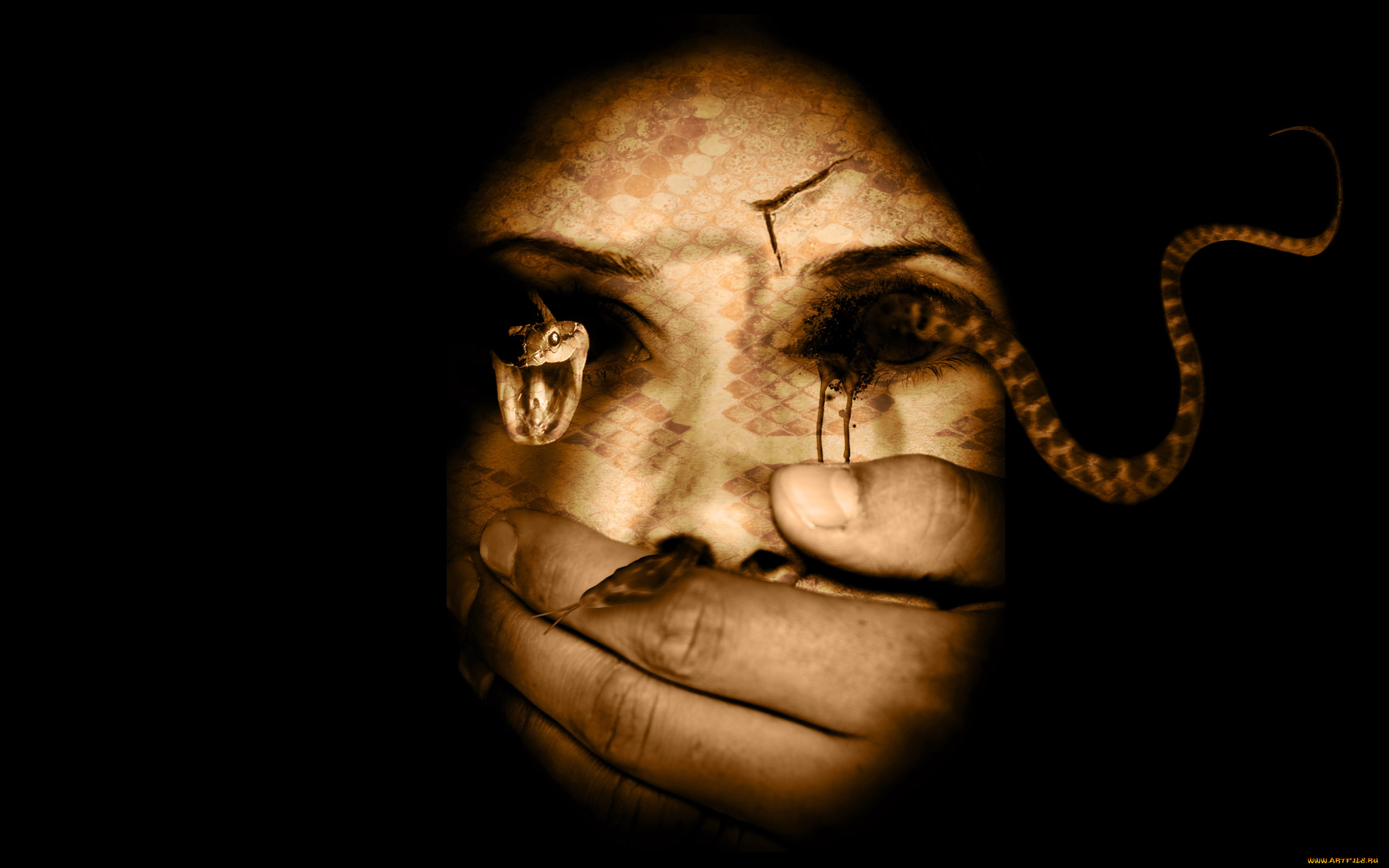 разное, компьютерный, дизайн