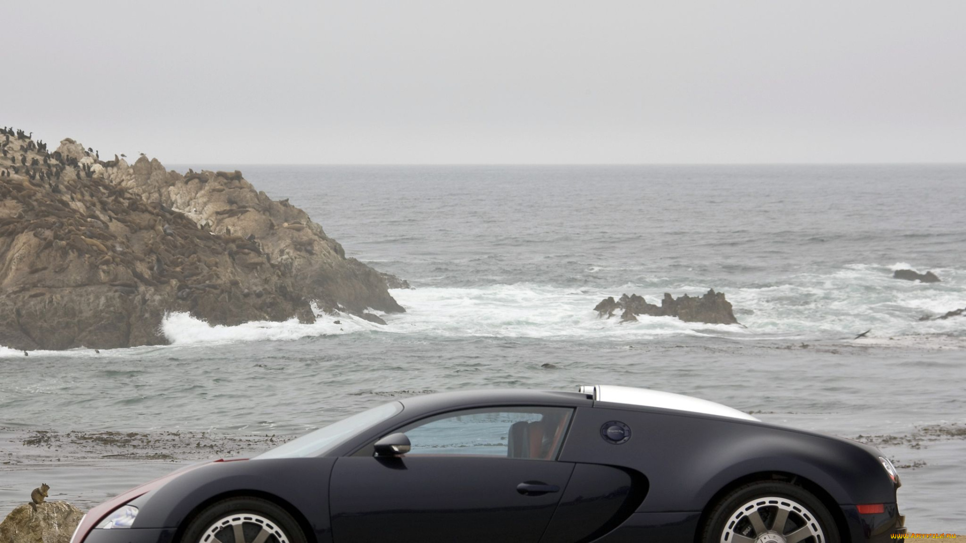 автомобили, bugatti