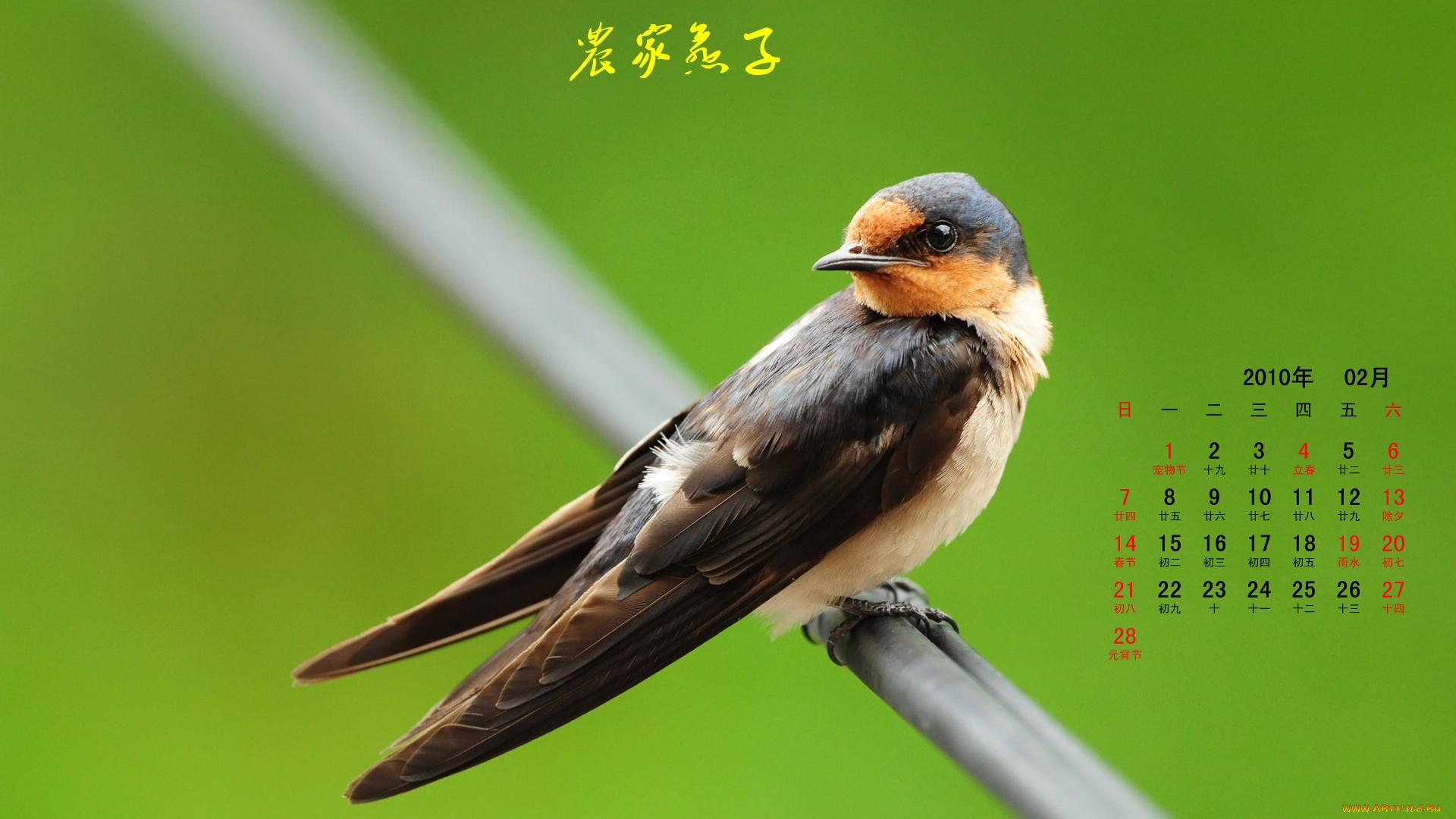 календари, животные