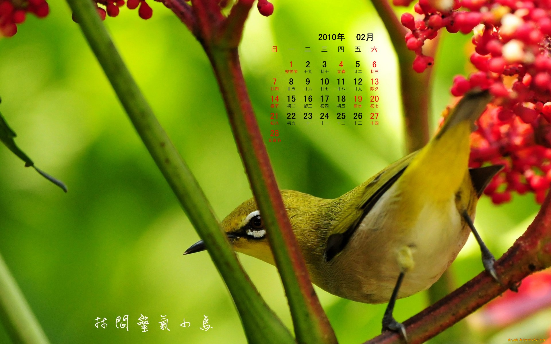 календари, животные