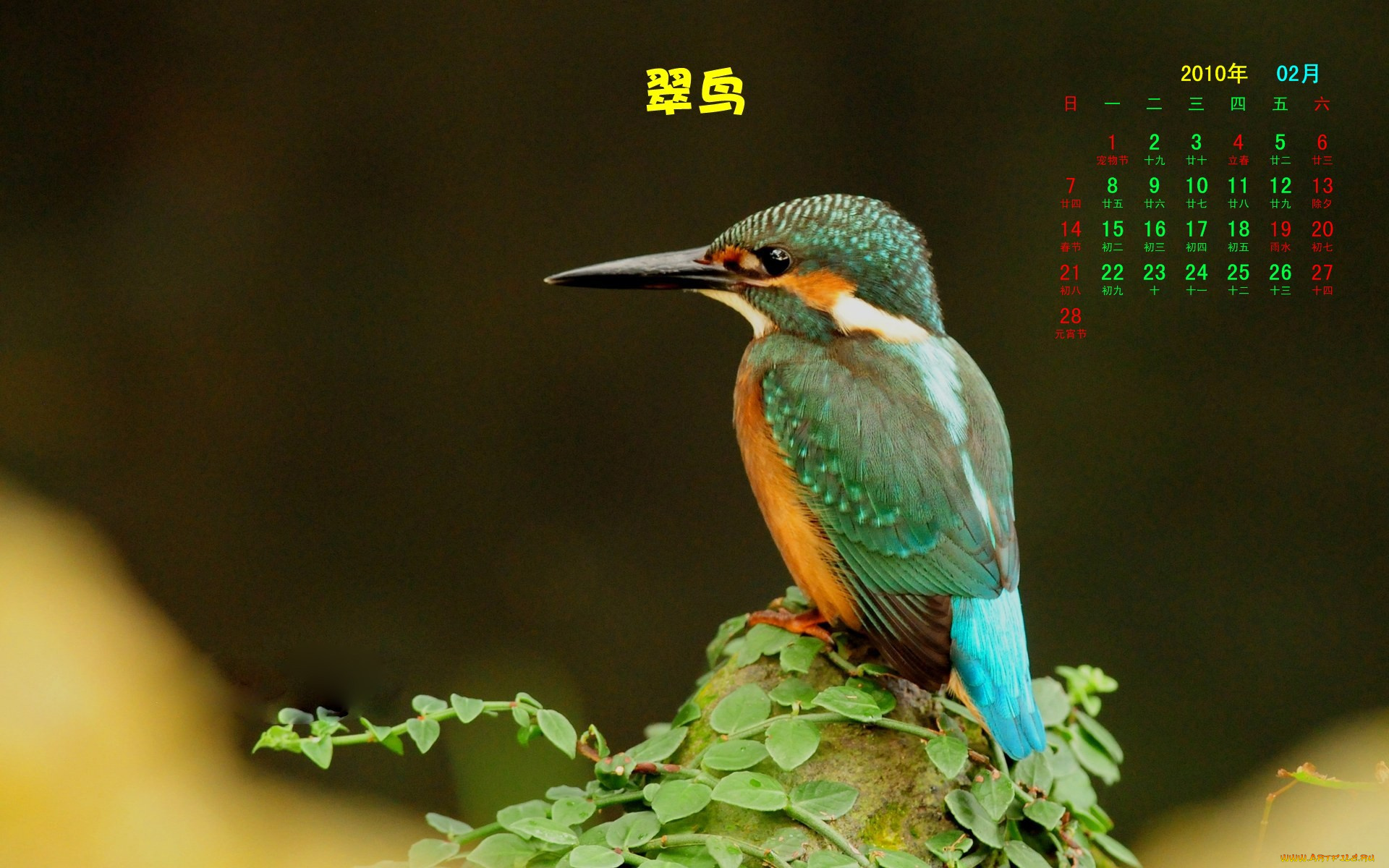 календари, животные