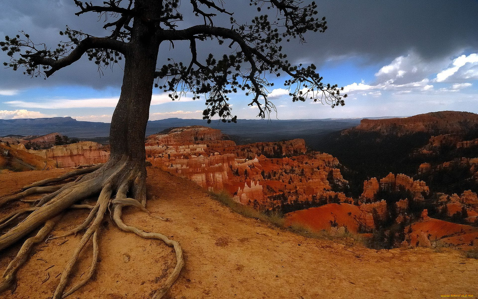 bryce, canyon, utah, природа, горы