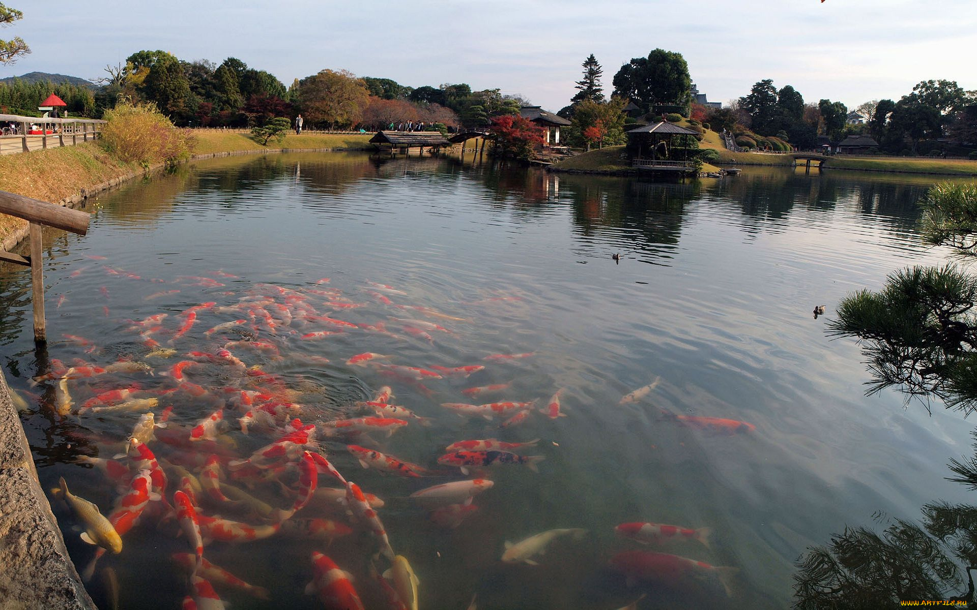 природа, реки, озера