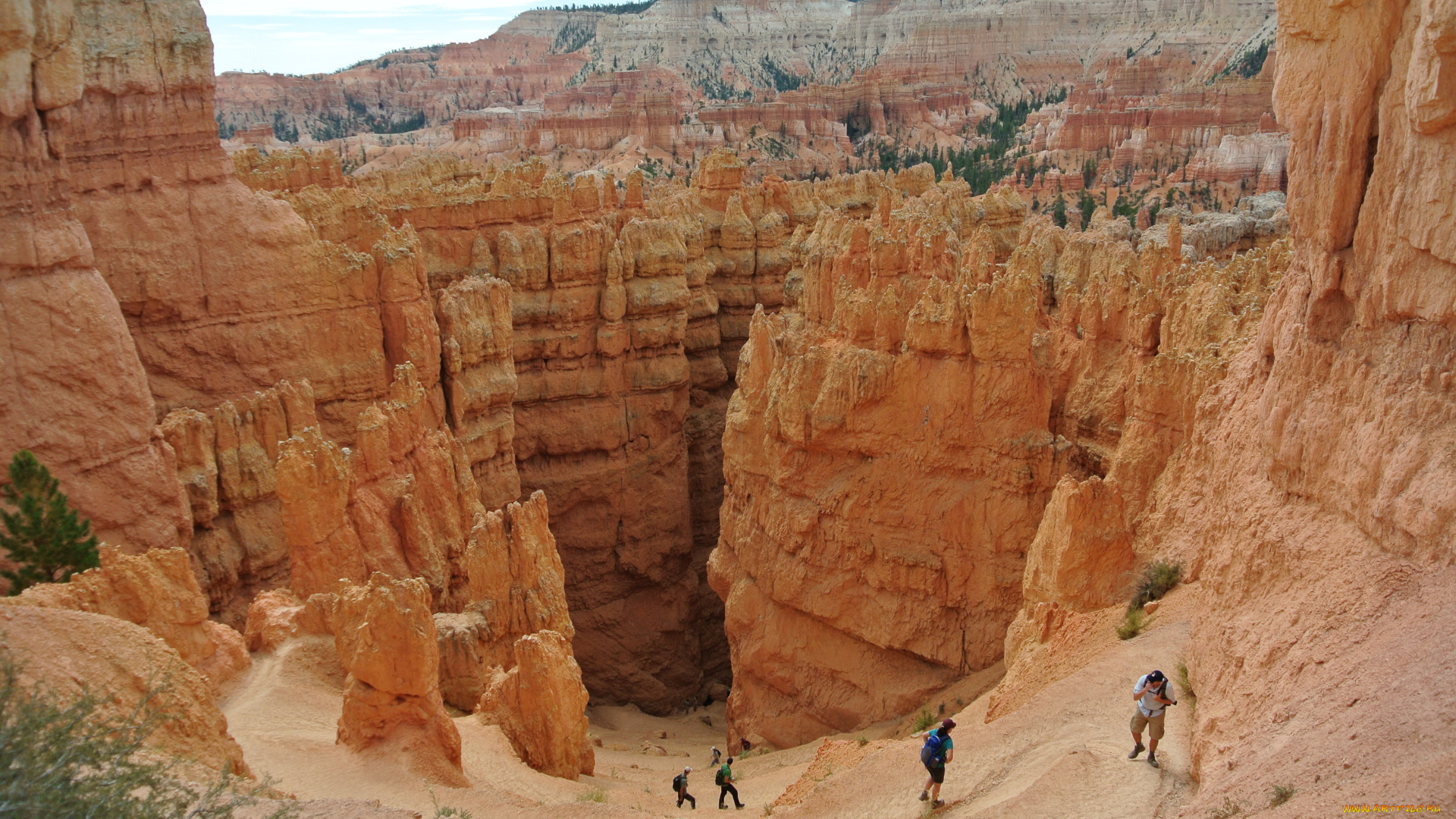 bryce, canyon, utah, природа, горы, каньон, скалы, пропасть, туристы, сша
