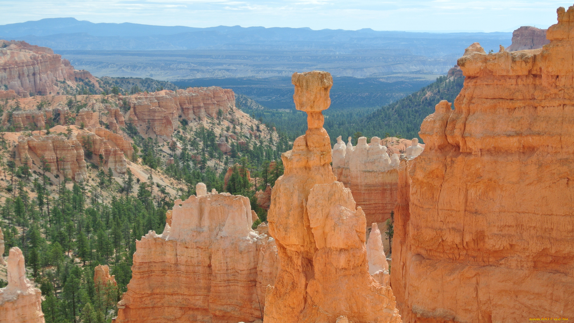 bryce, canyon, utah, природа, горы, сша, скалы, пики, каменный, гриб, каньон