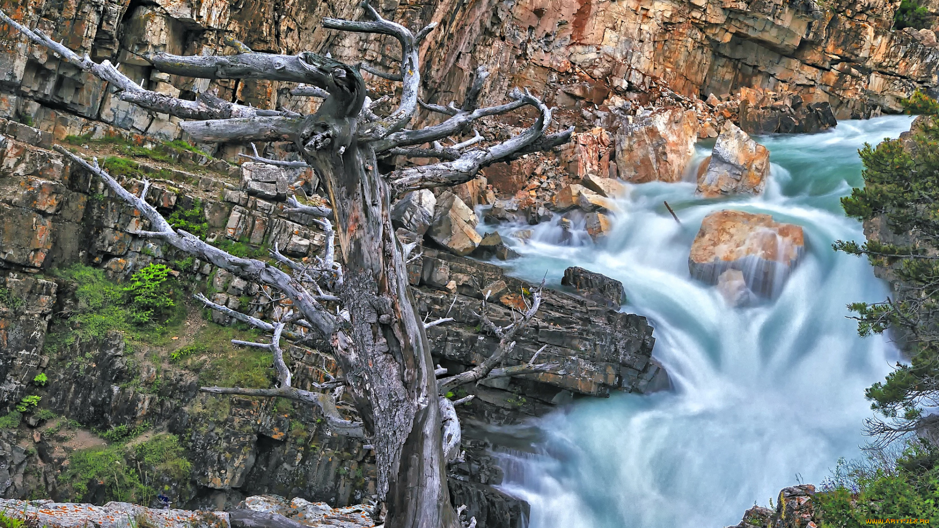 glacier, national, park, природа, водопады, дерево, скалы, swiftcurrent, falls