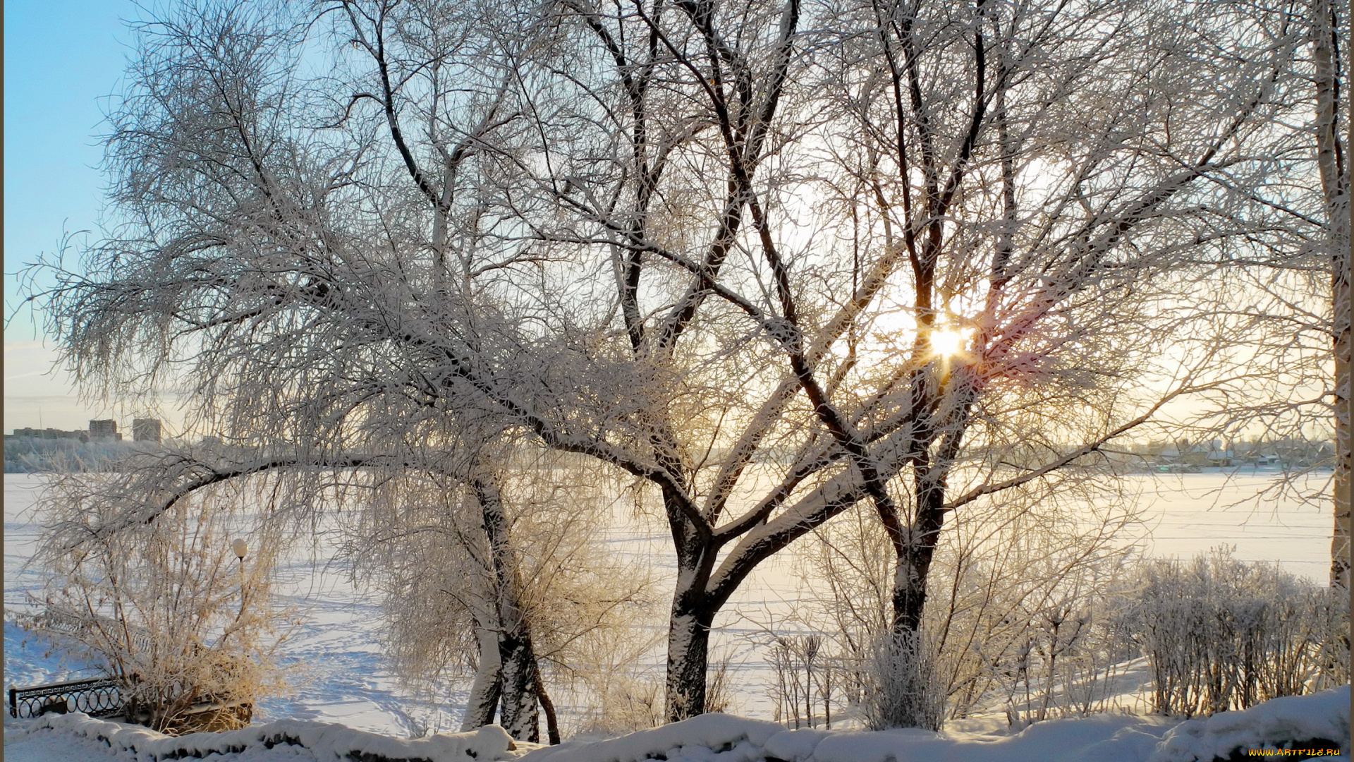 природа, зима, деревья, снег, зма