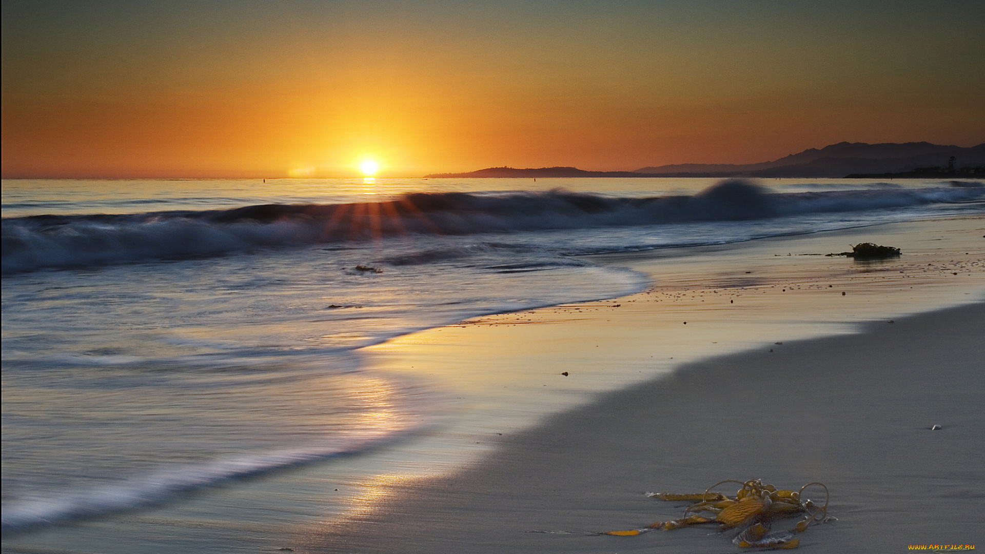 sunset, природа, восходы, закаты, водоросли, пляж, закат, океан