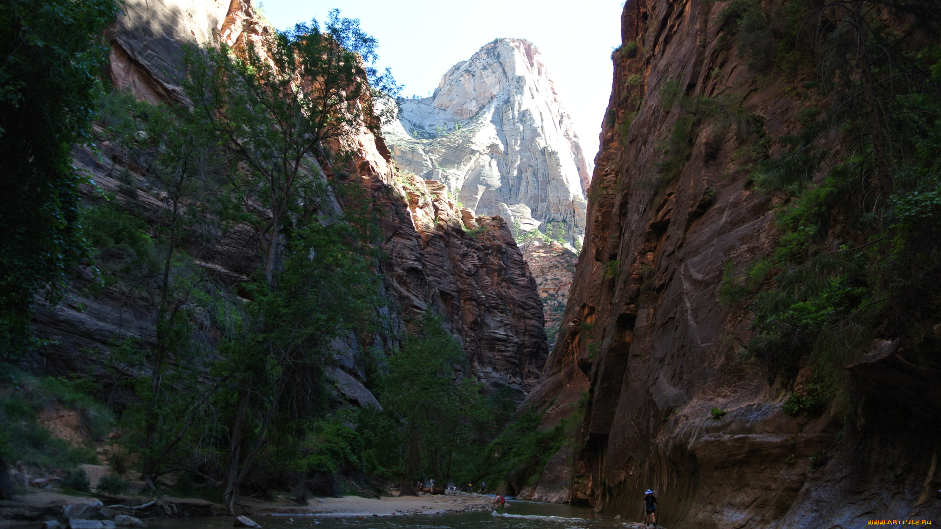zion, national, park, природа, горы, лес, река