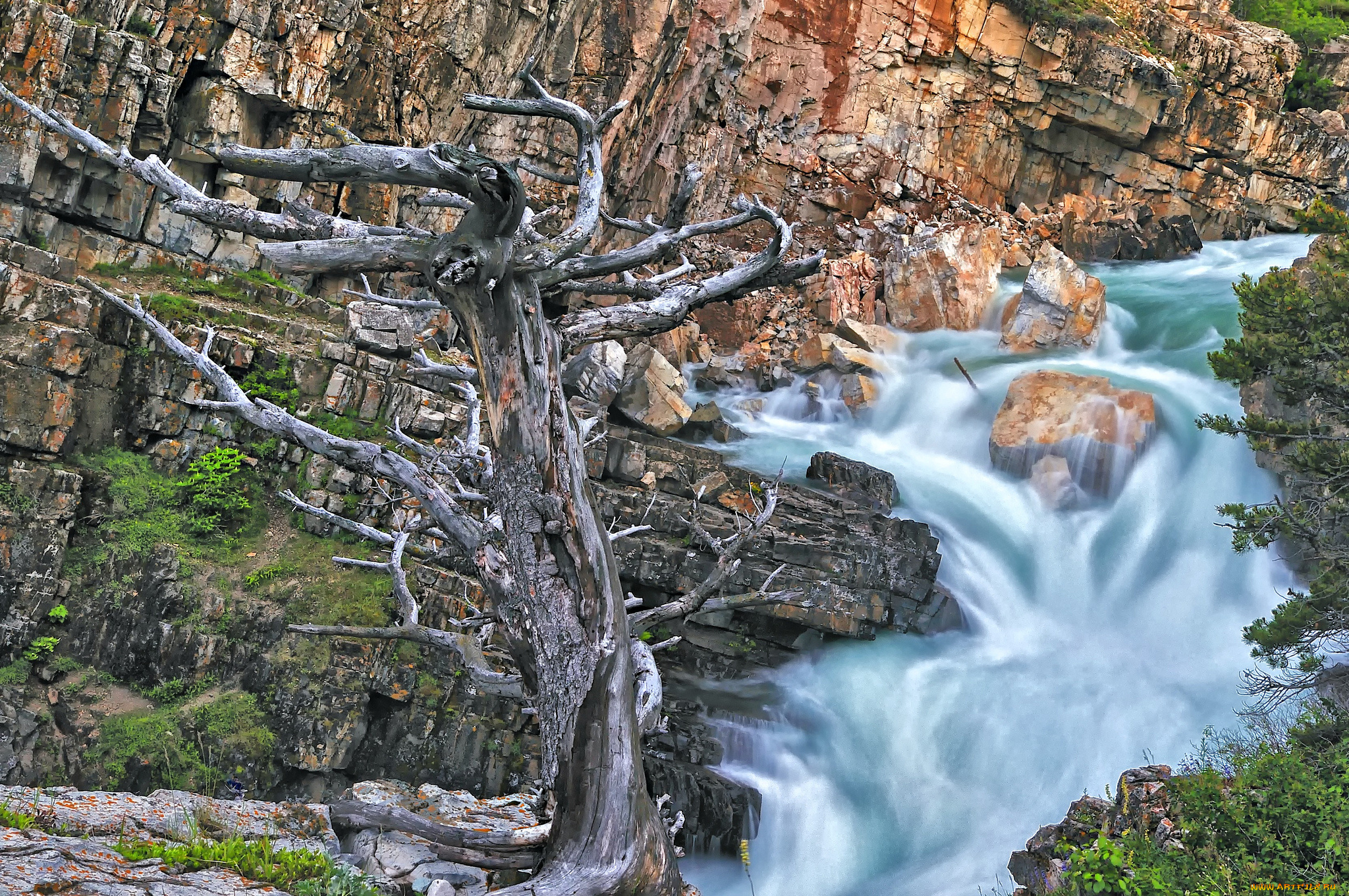 glacier, national, park, природа, водопады, дерево, скалы, swiftcurrent, falls